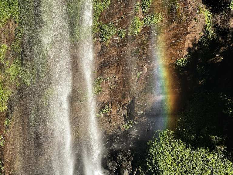 Chutes de Queen Mary – Itinéraires & Comment s'y rendre | Komoot