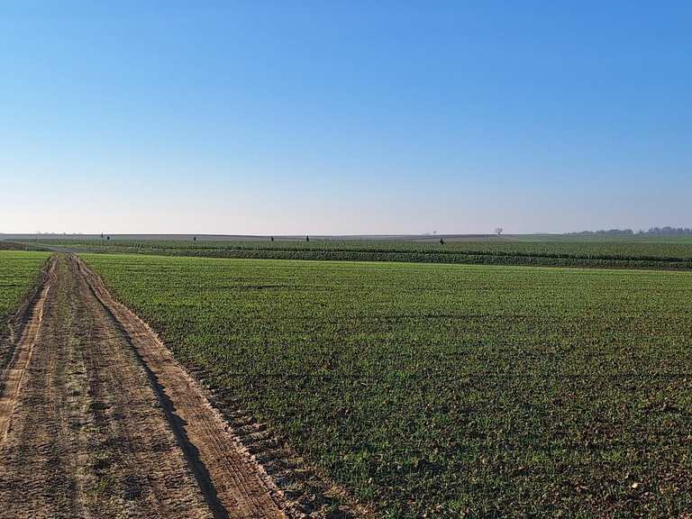 Beautiful Field Path - Routes for Walking and Hiking | Komoot