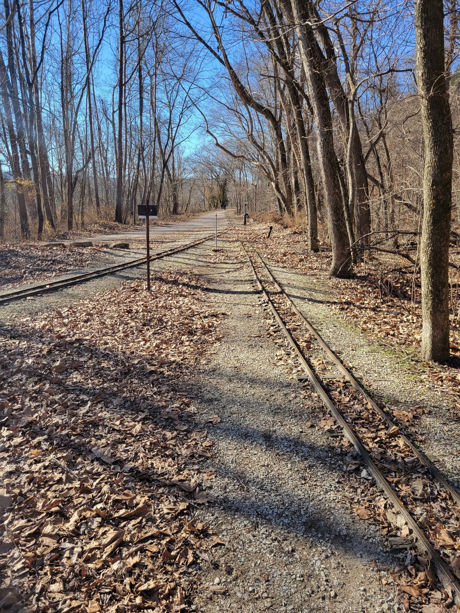 Two sets of parallel railroad tracks through a sunny, bare forest. - Bluff View Trail – Overlook loop from Glencoe