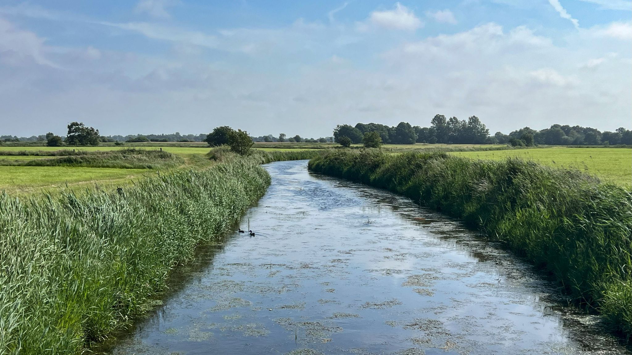 Margenser Tief