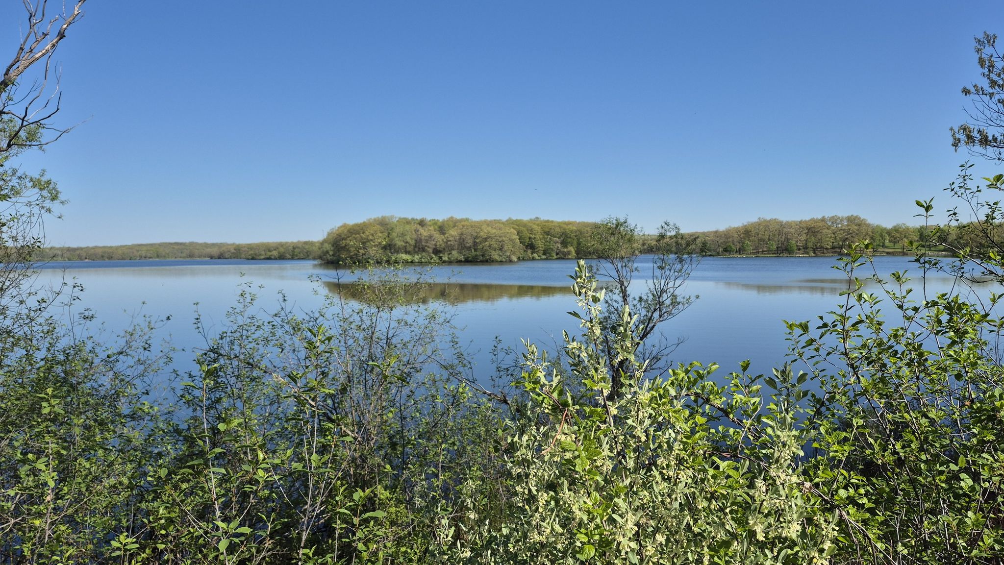Calm lake with a small tree-covered island, framed by green bushes. - Spring Mill Pond – Kent Lake loop from Park and Ride
