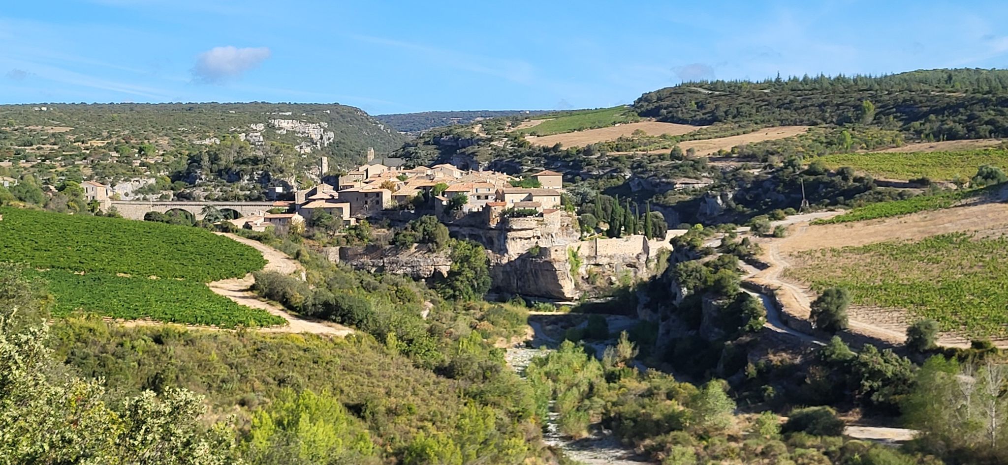 Minerve