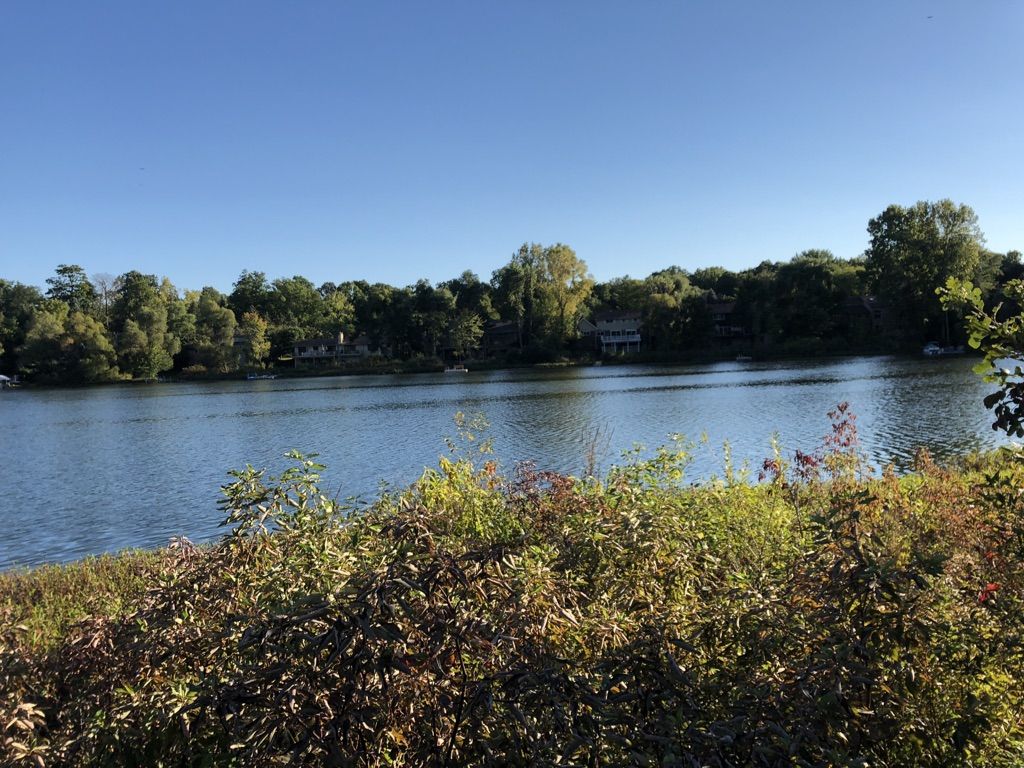 A wide lake surrounded by green trees and distant houses under a clear sky. - Woodpecker Lake Overlook loop from West Bloomfield Charter Township