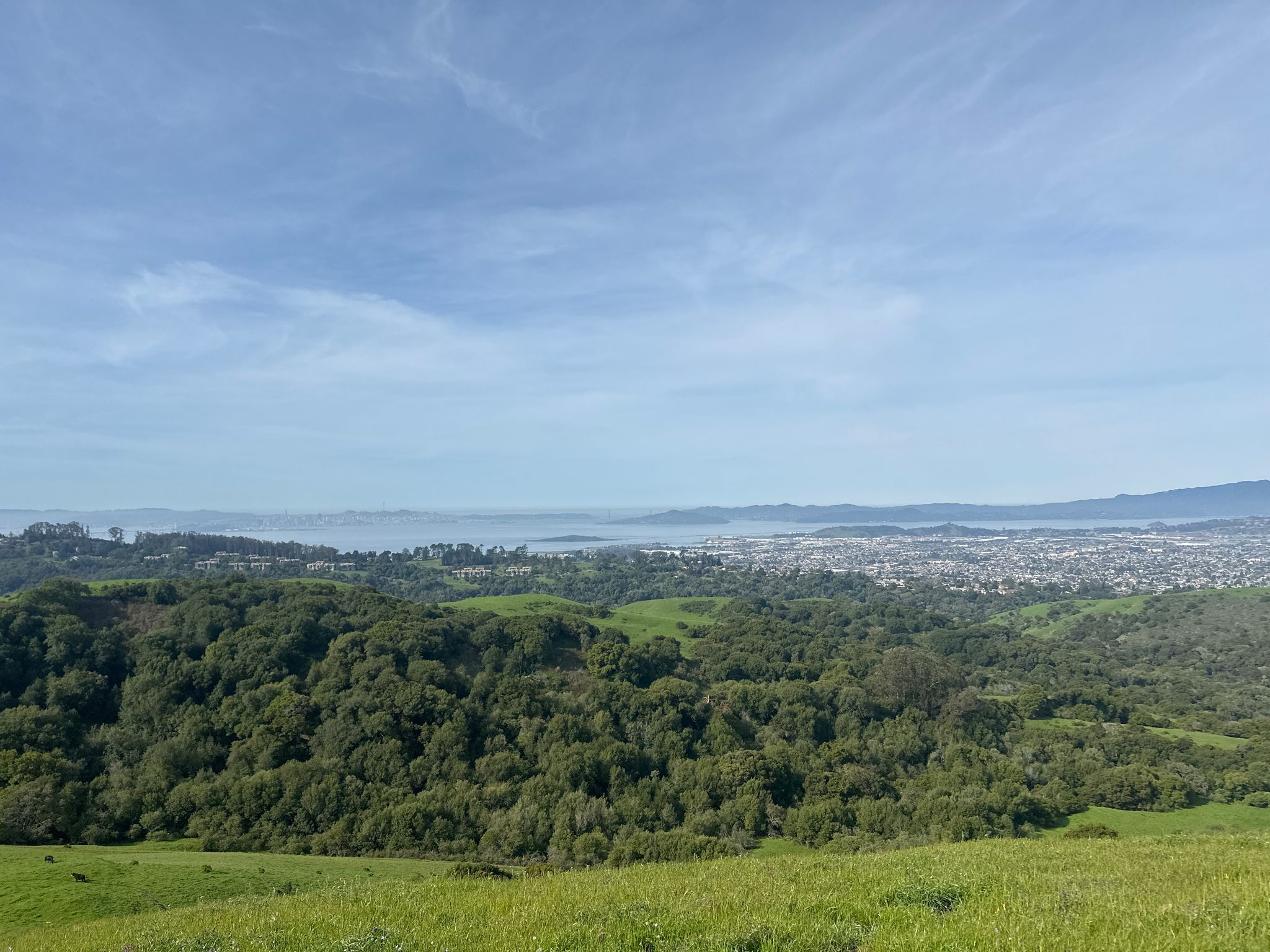 Vast green hills and forests stretch towards a distant city and bay. - Wildcat Creek, Mezue, San Pablo Ridge and Belgum Loop