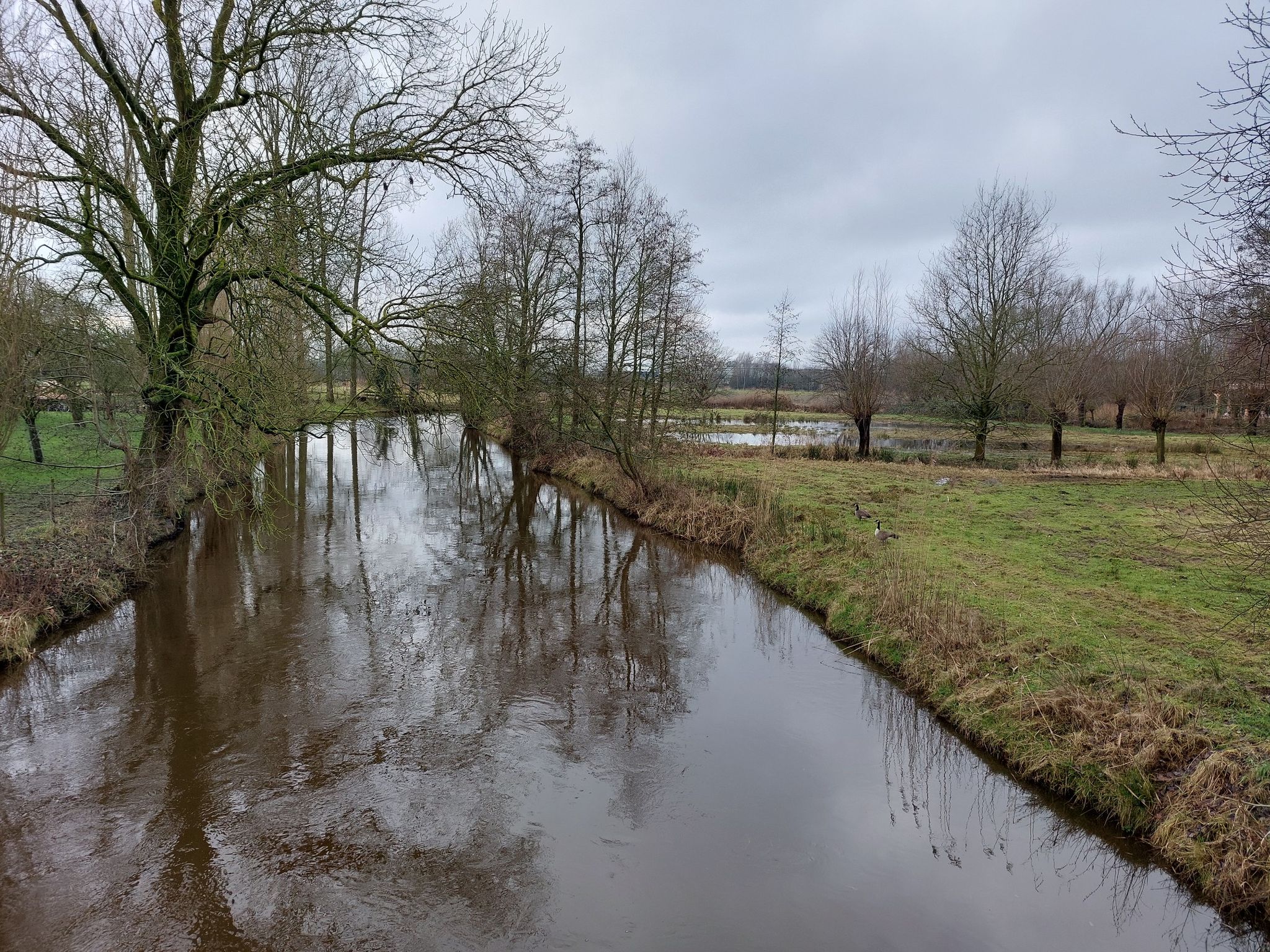 de Dommel