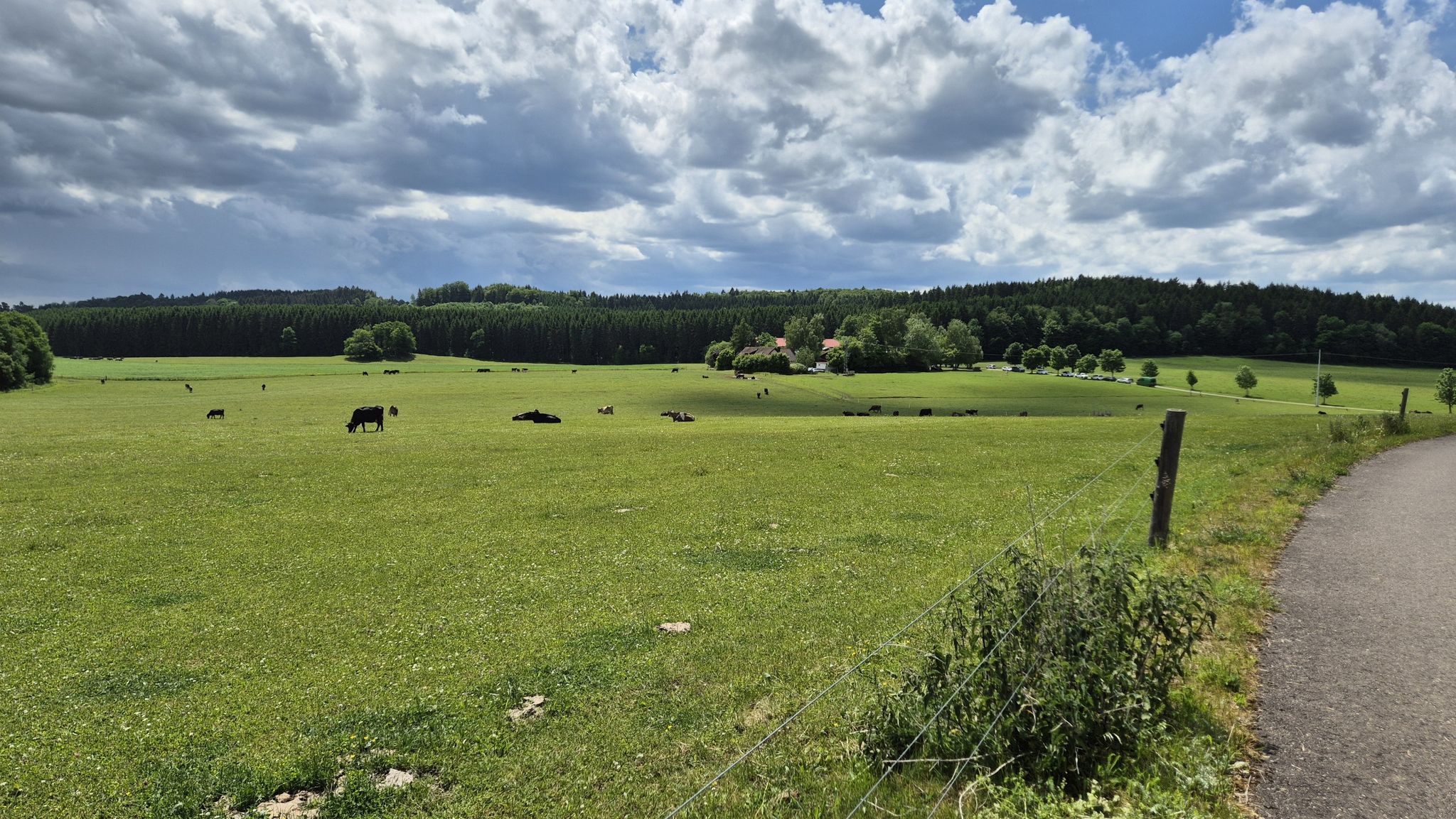 Warum ins Allgäu fahren