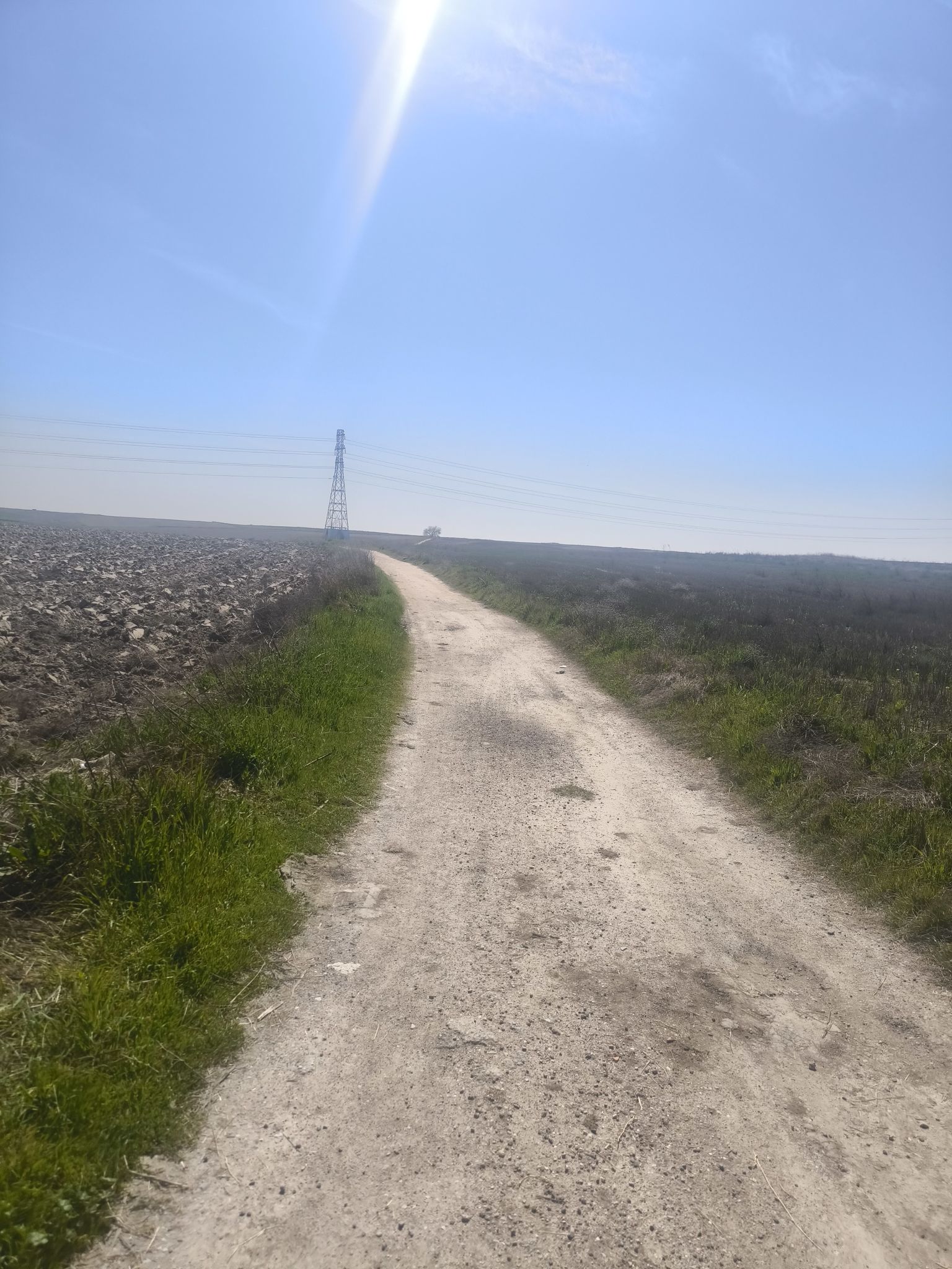 Camino La Estrada