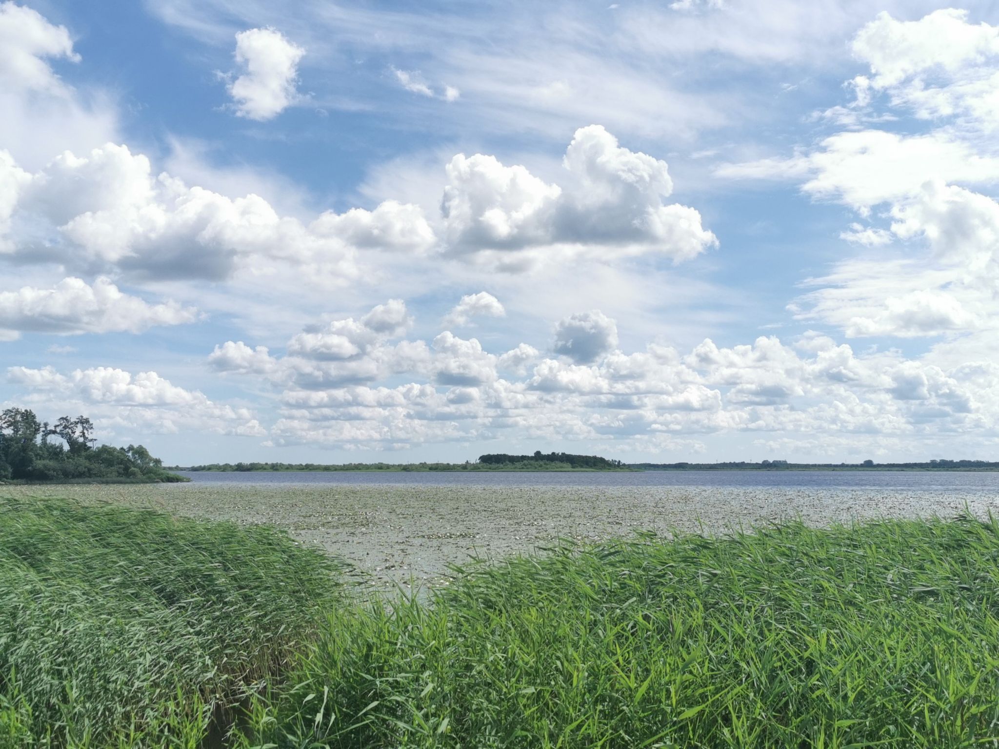 Swedish seas