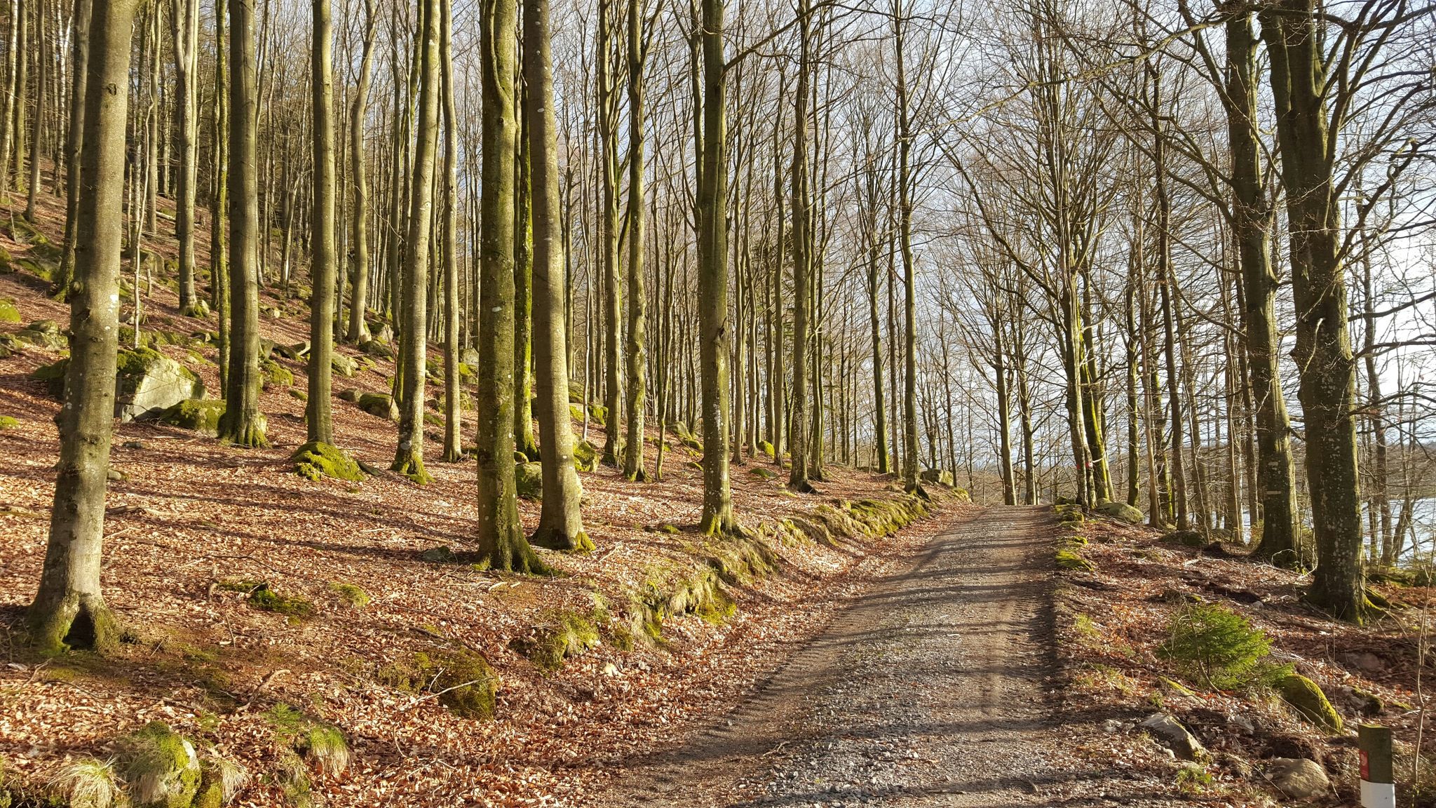 Kalvsjön
