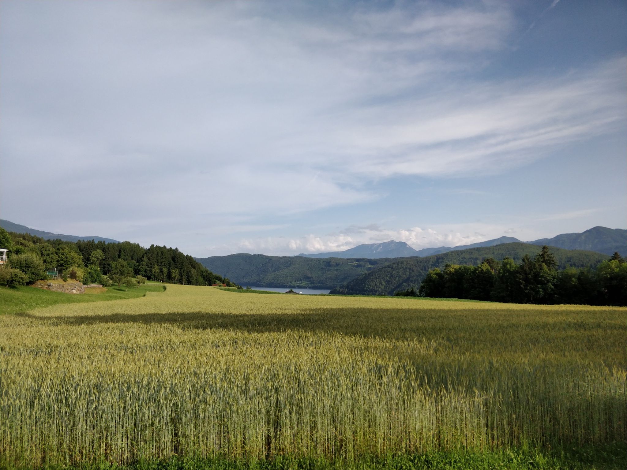 Gerstenfeld