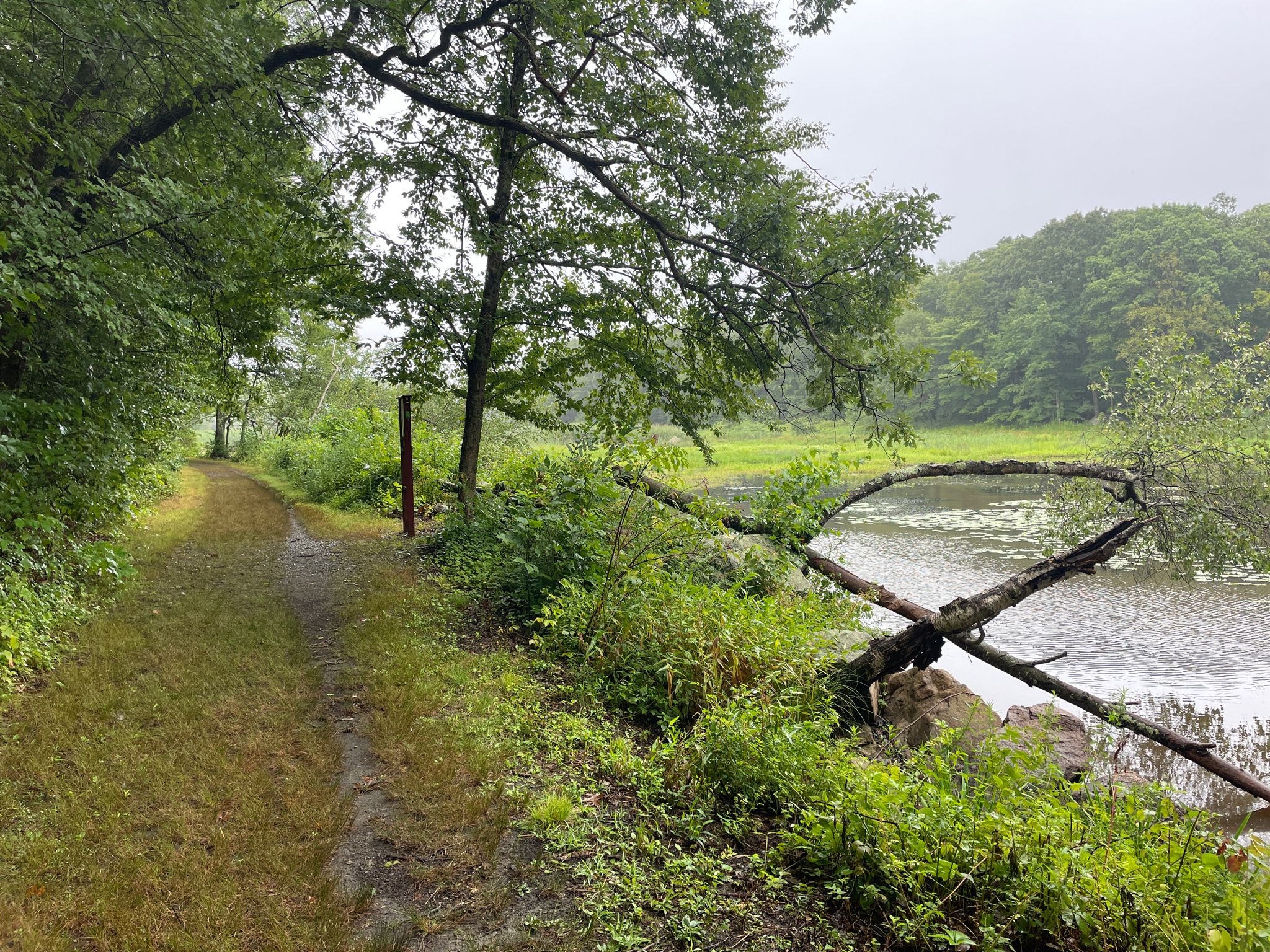 A dirt path winds alongside a calm lake with lush green trees. - Highlands, Tiger Blood and Black Magic Trail Loop