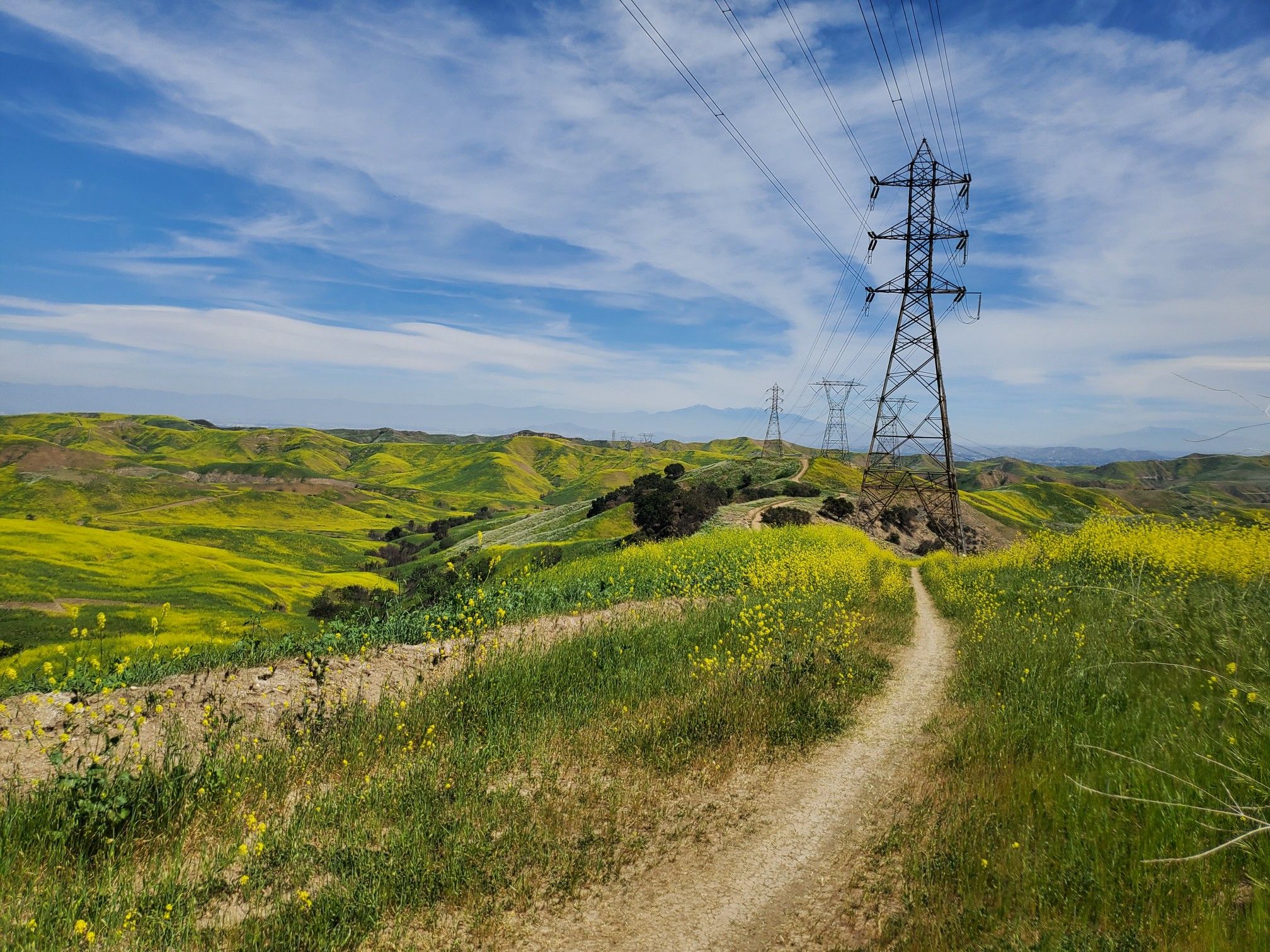 Path through green and yellow hills with power lines under a bright sky. - Gilman Peak & Water Canyon Trail