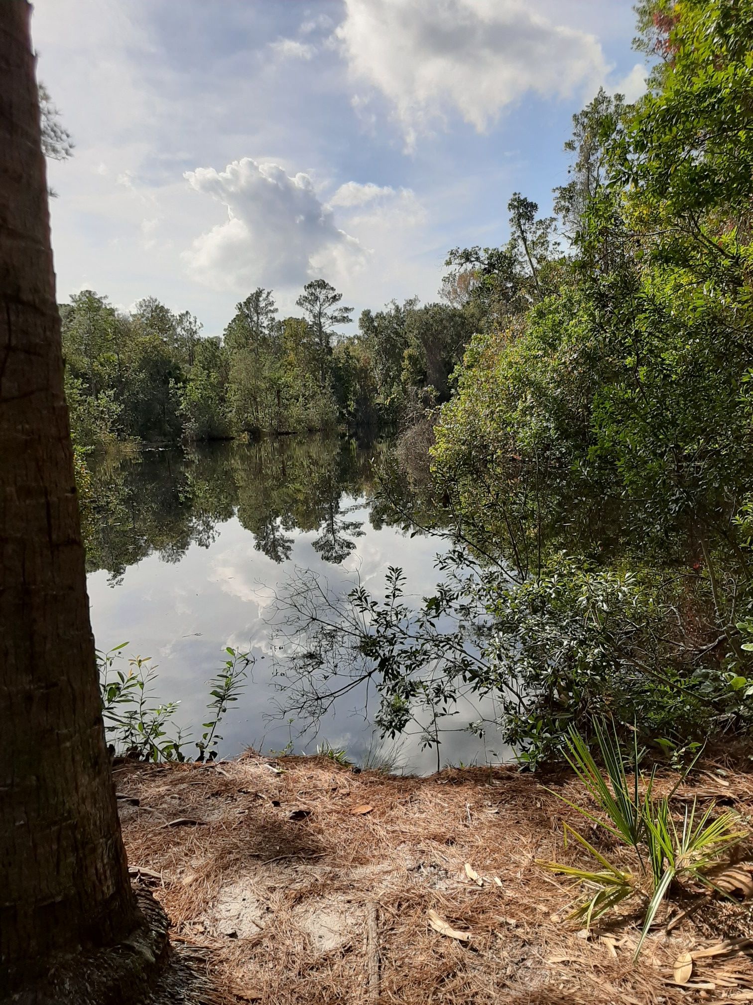 sand lake