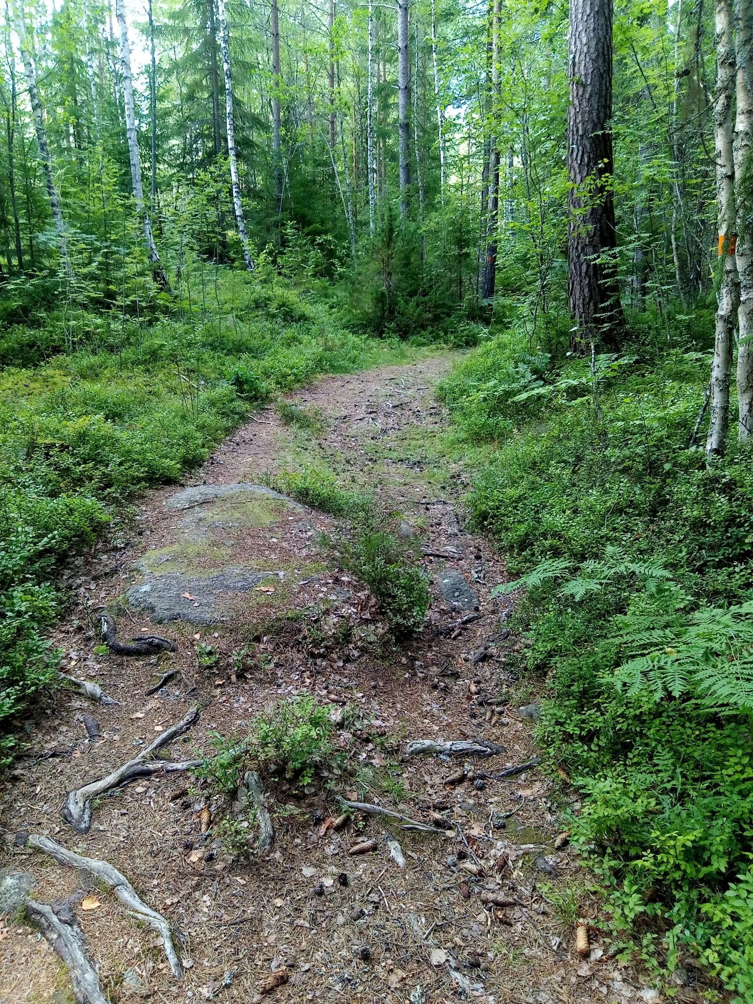 Wanderweg