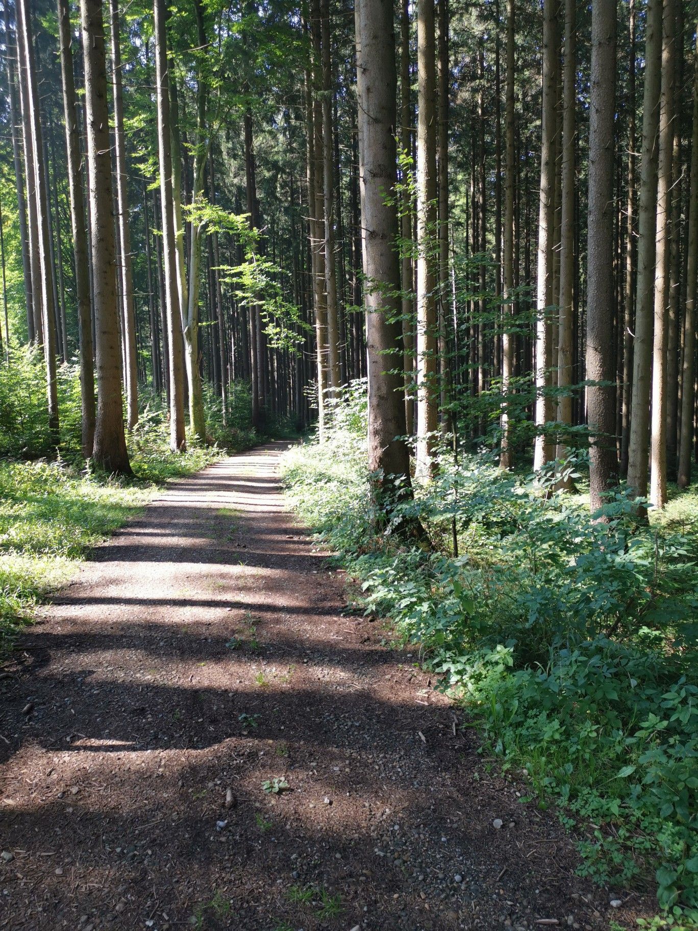 Trails