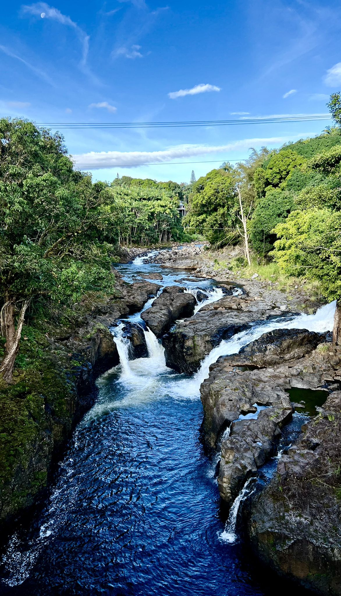 River with multiple waterfalls cascading over dark rocks, surrounded by lush trees. - Kaiwiki Park via Wainaku loop