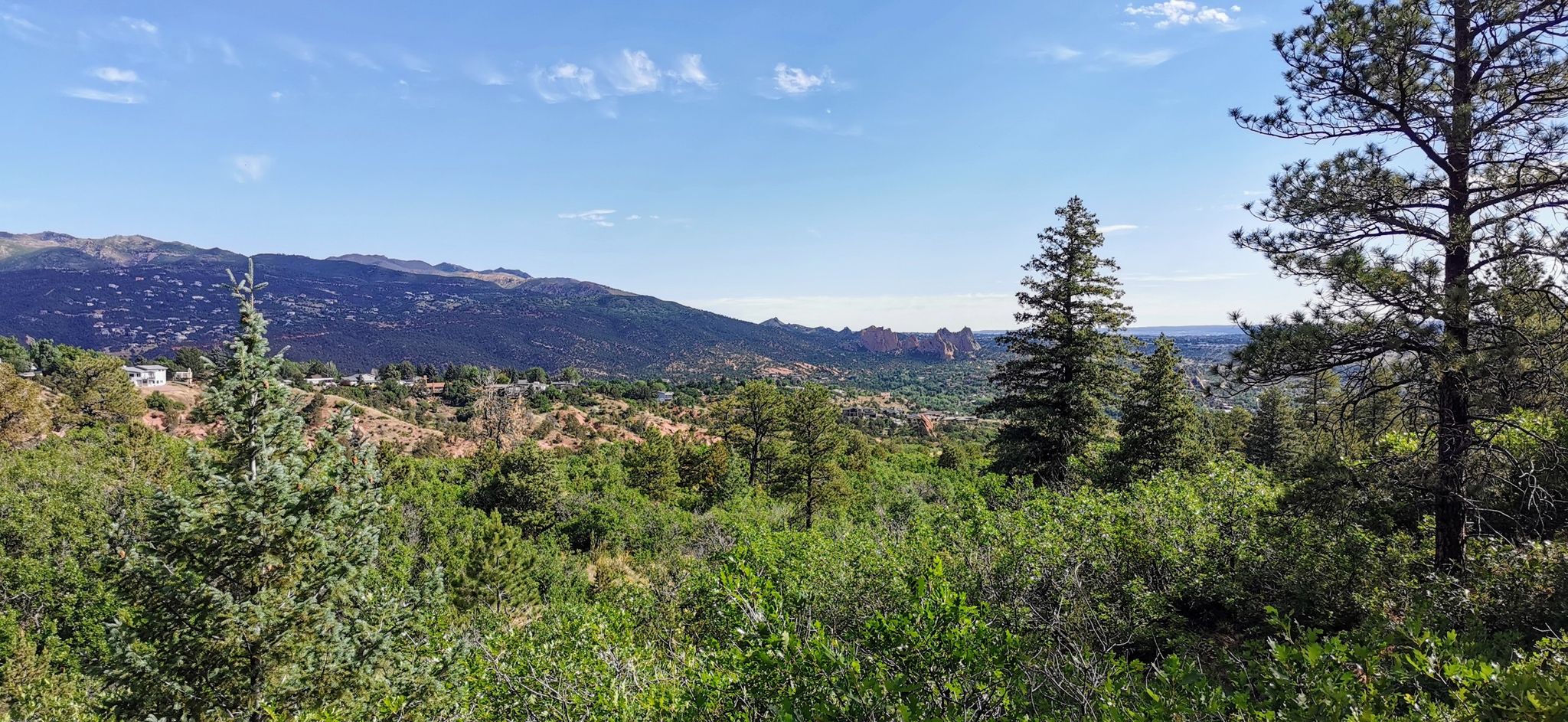 Lush green trees and bushes overlook rolling hills and distant mountains. - Contemplative Trail, Roundup Trail, Mesa Trail Loop