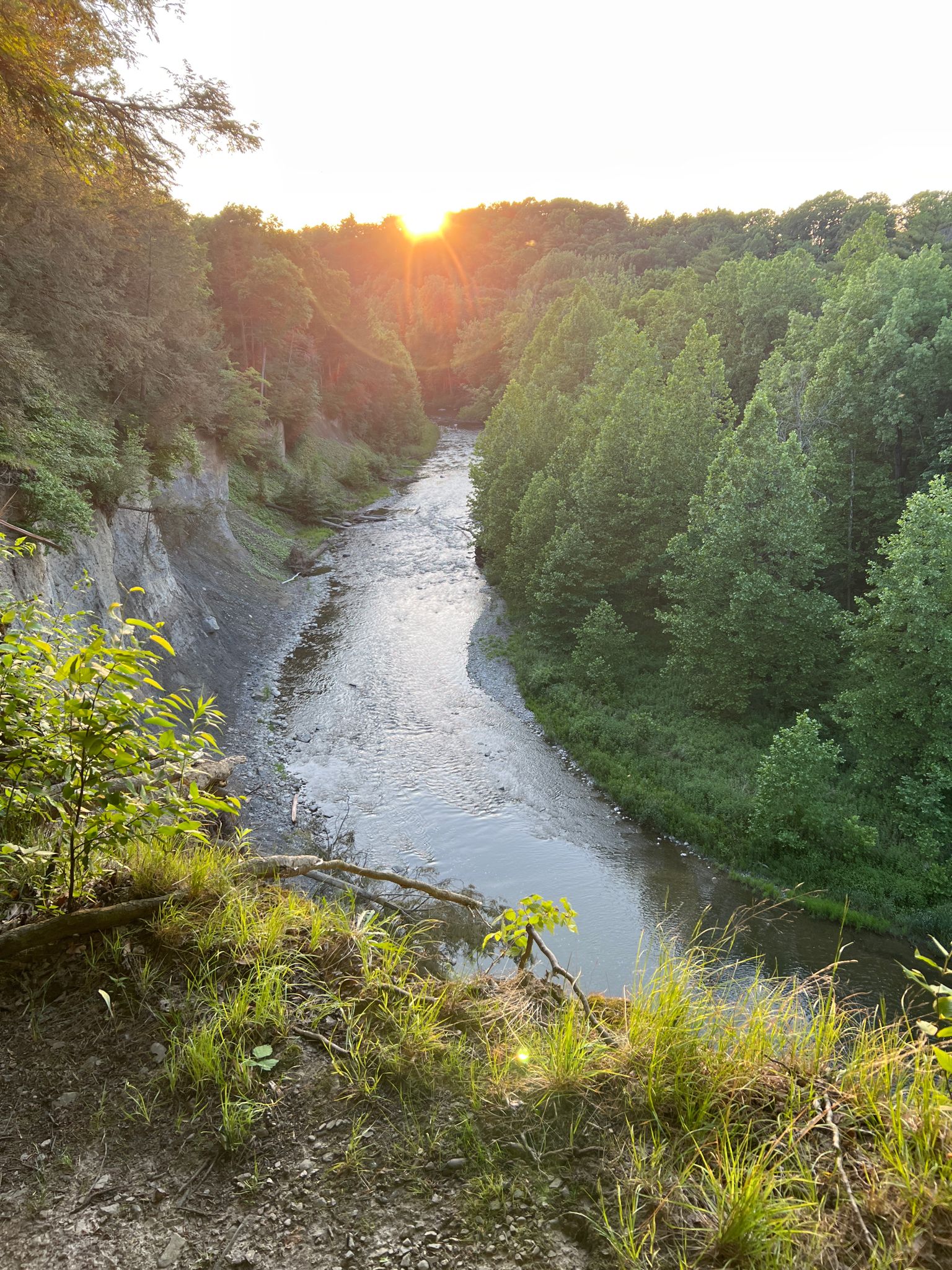 River flowing through a deep, forested gorge at sunset. - Running loop from Varna
