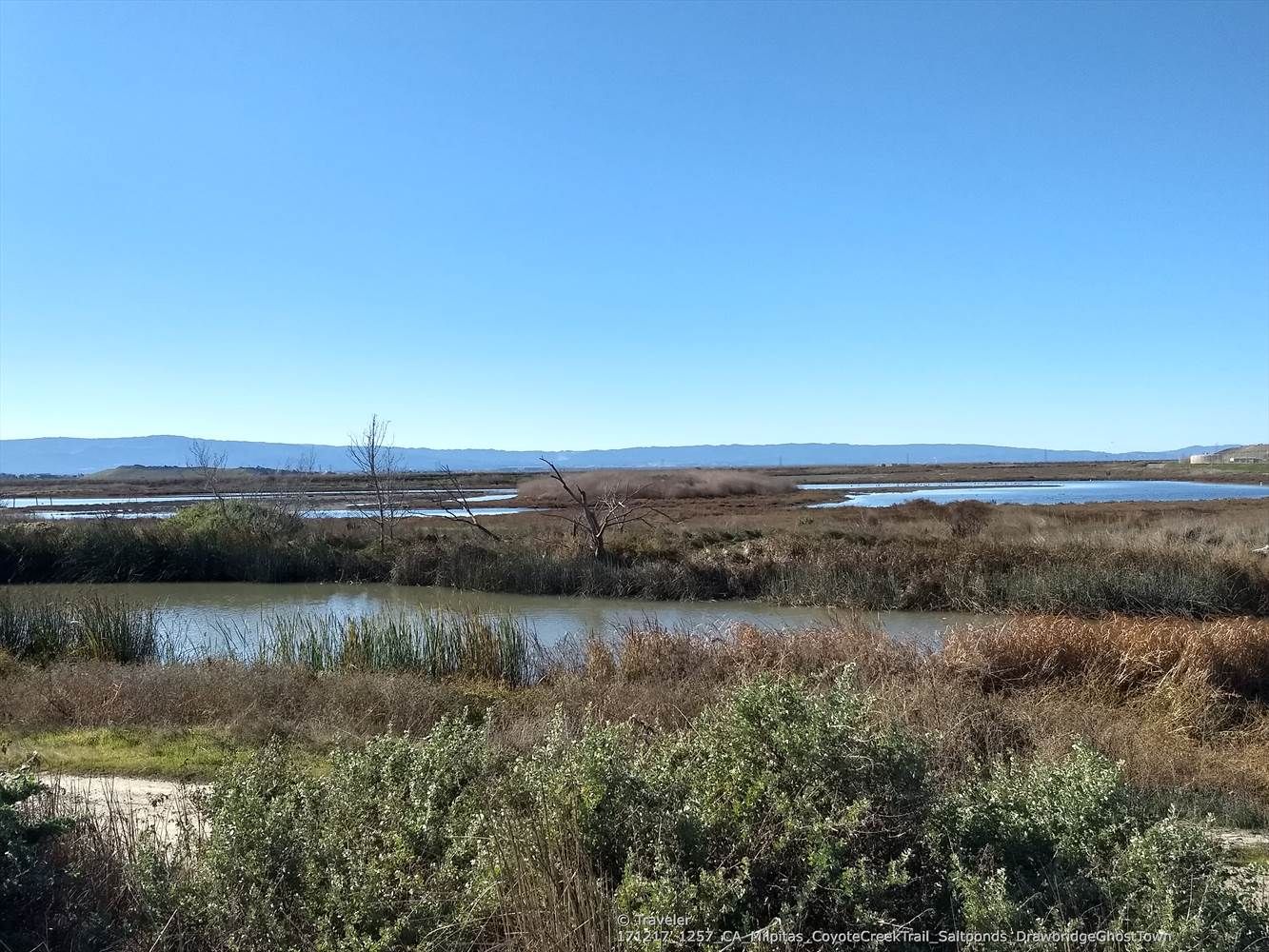 Multiple ponds in a vast marshland with distant mountains under a clear sky. - South Fremont BART to Coyote Creek Lagoon loop