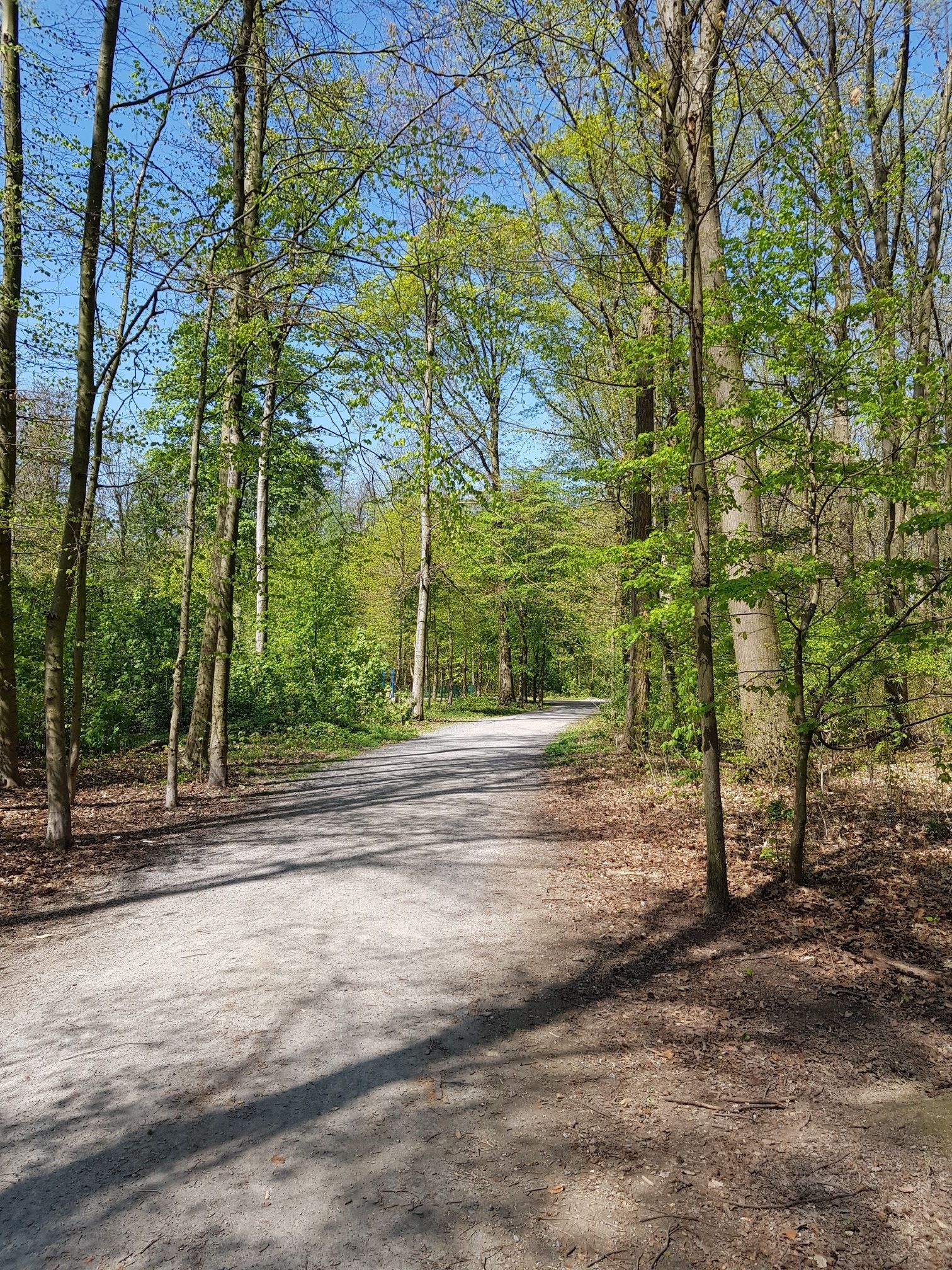 Weg zwischen Hassels und A59