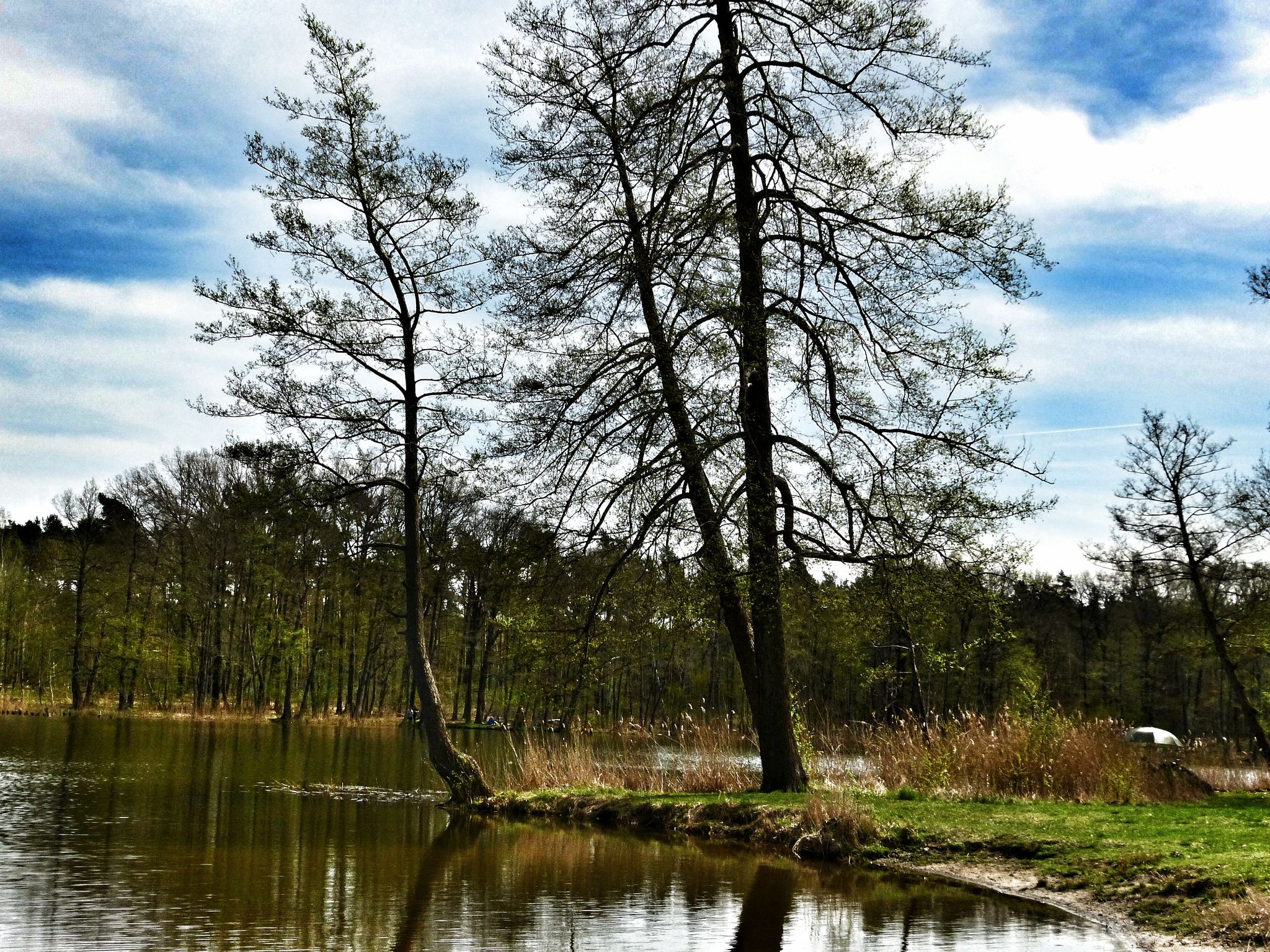 Krummer See
