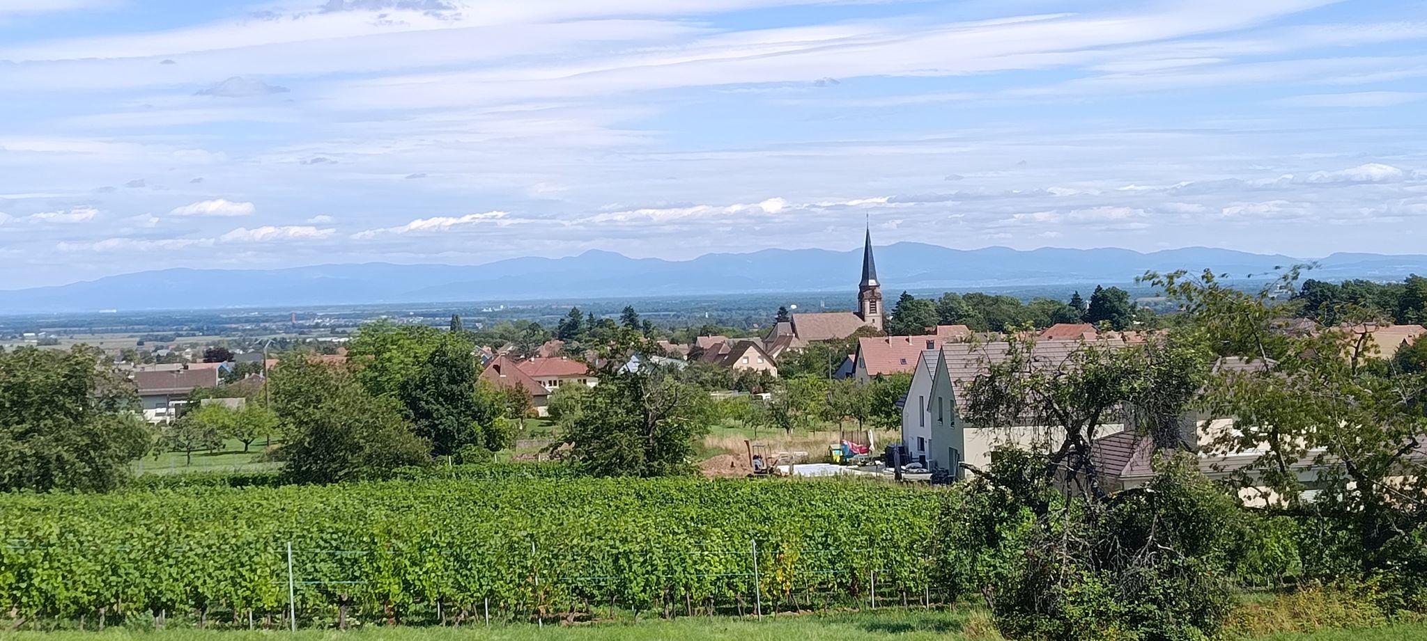 Hinter der Kirche  –  der Schwarzwald