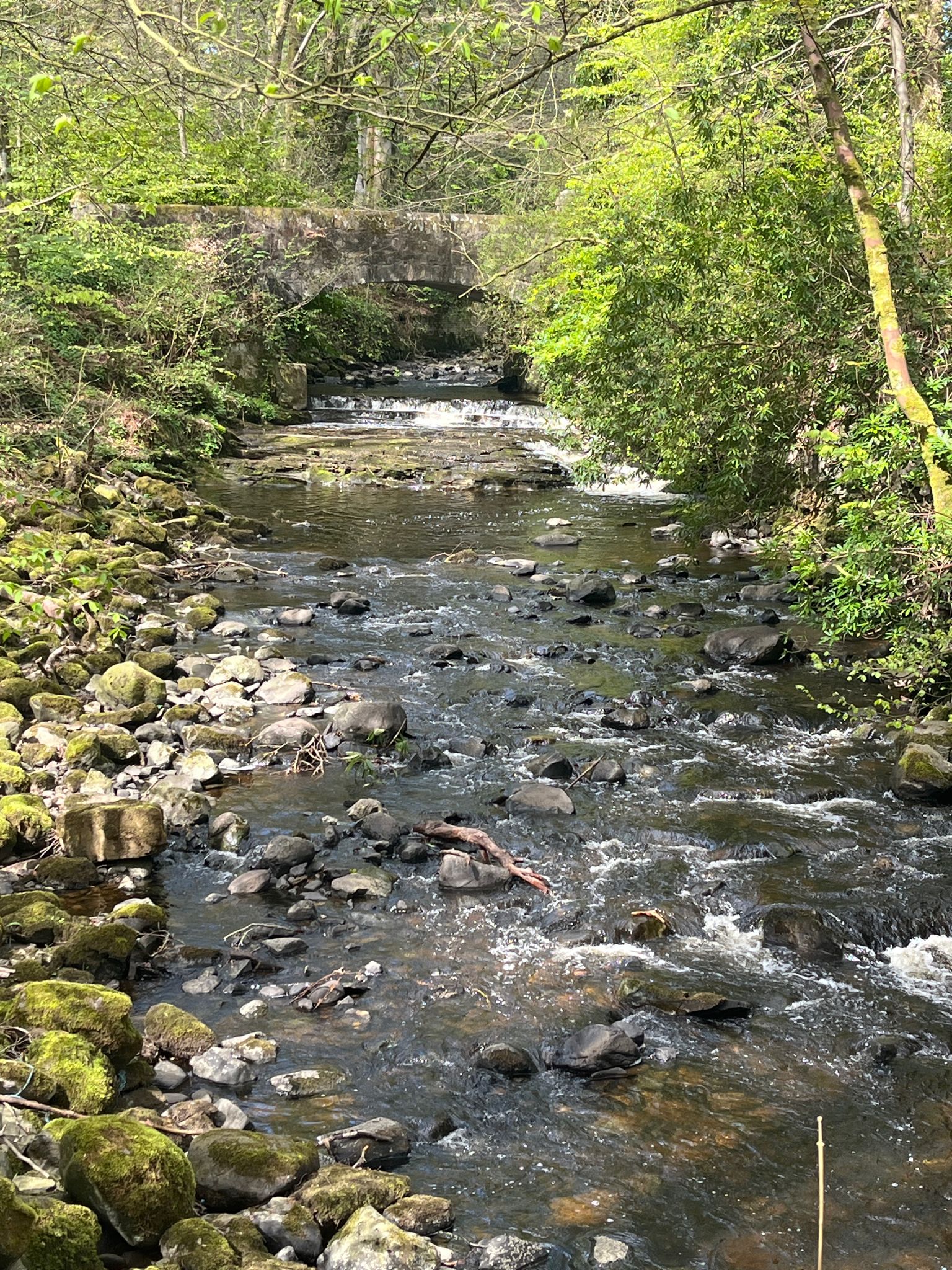 Kilmarnock Water flowing close to the castle