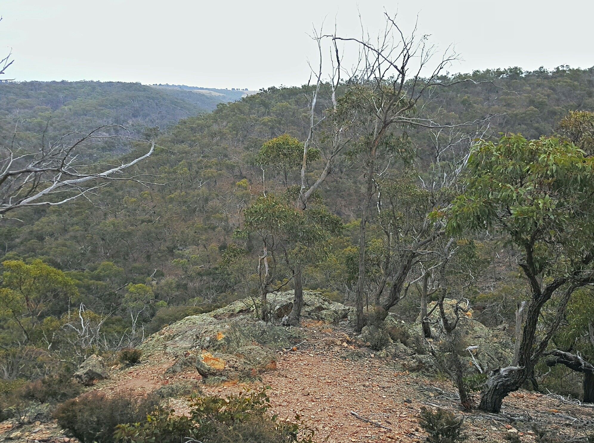 Kind of a lookout 
