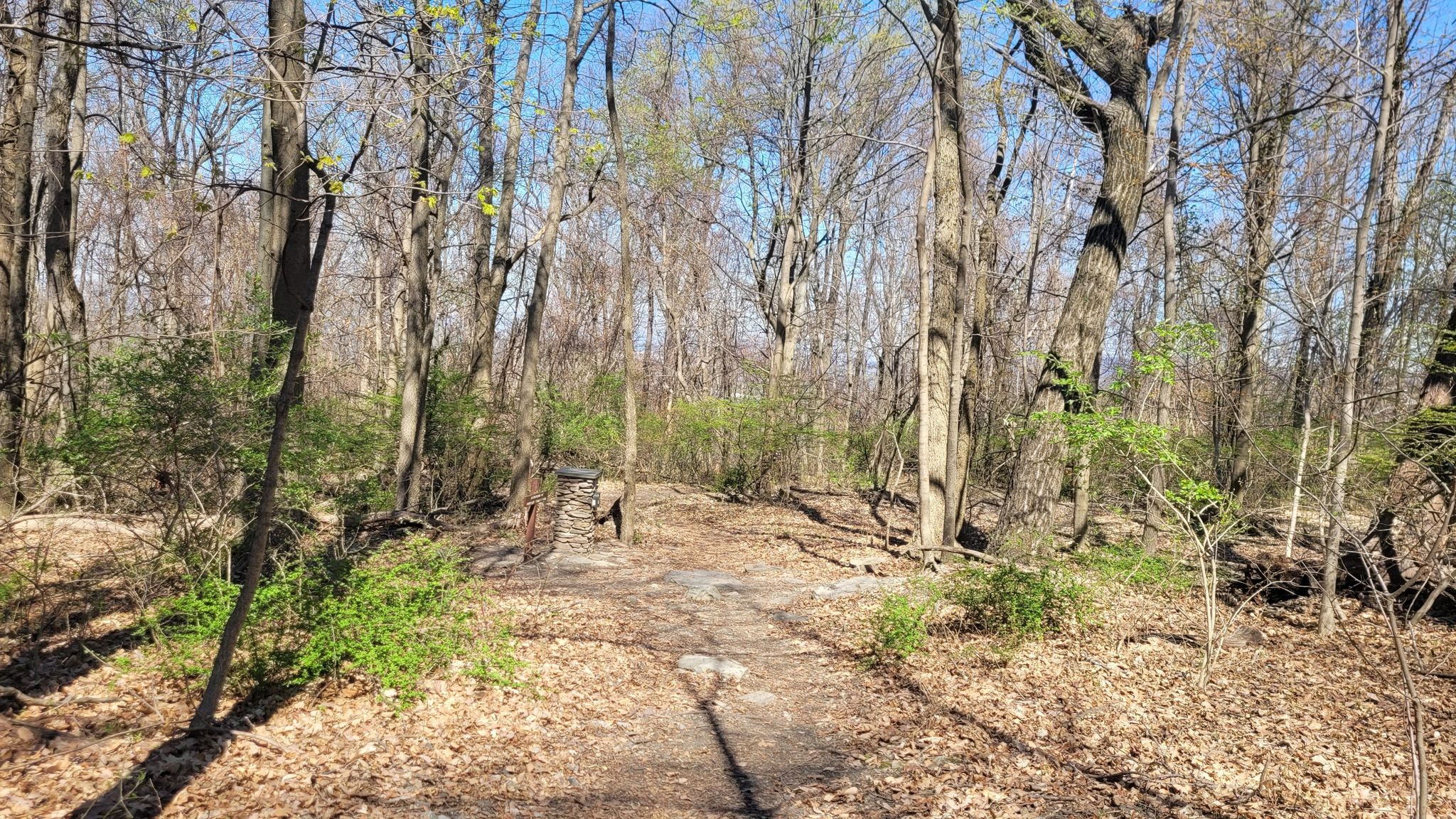Sunlit dirt path through a forest with bare trees and new green growth. - Appalachian Trail: Pen Mar to Old Forge