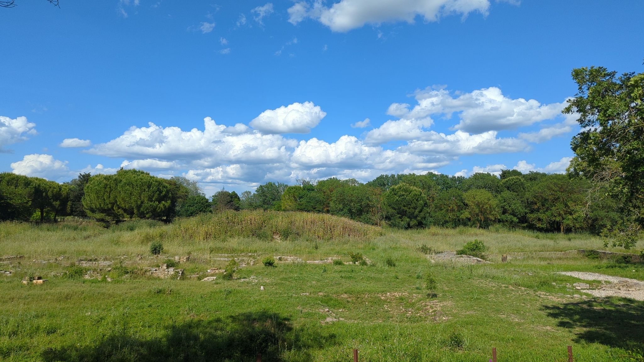 ambrussum