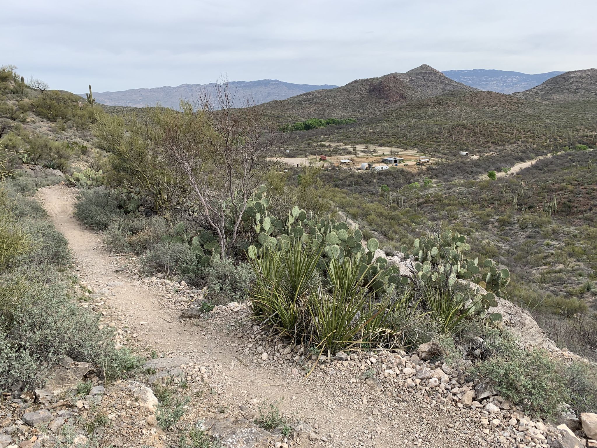 Dirt trail winding through desert hills with distant buildings under overcast sky. - Arizona Trail: Passage 8 - Rincon Valley