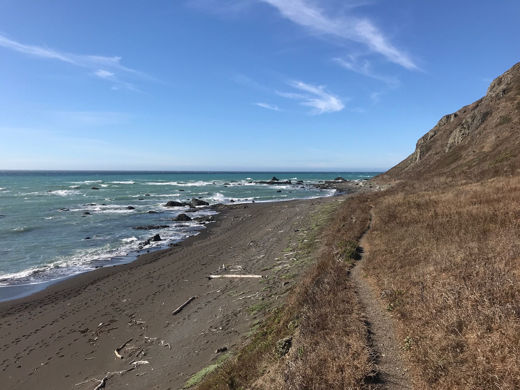 Sunny beach with dark sand, blue ocean, and a grassy cliffside trail. - Lost Coast Trail: Mattole to Black Sands Beach