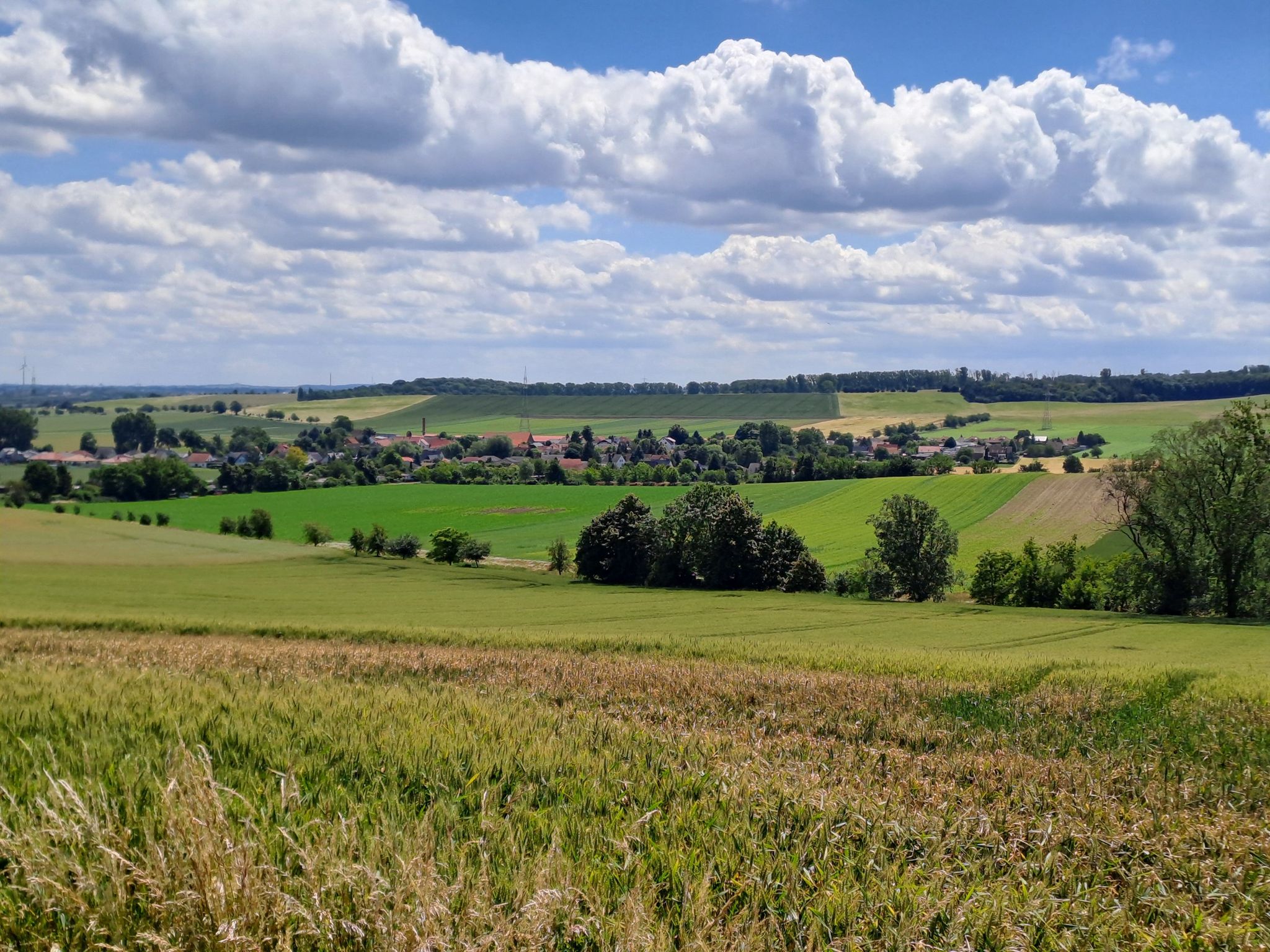 Gersdorfer Telzgraben