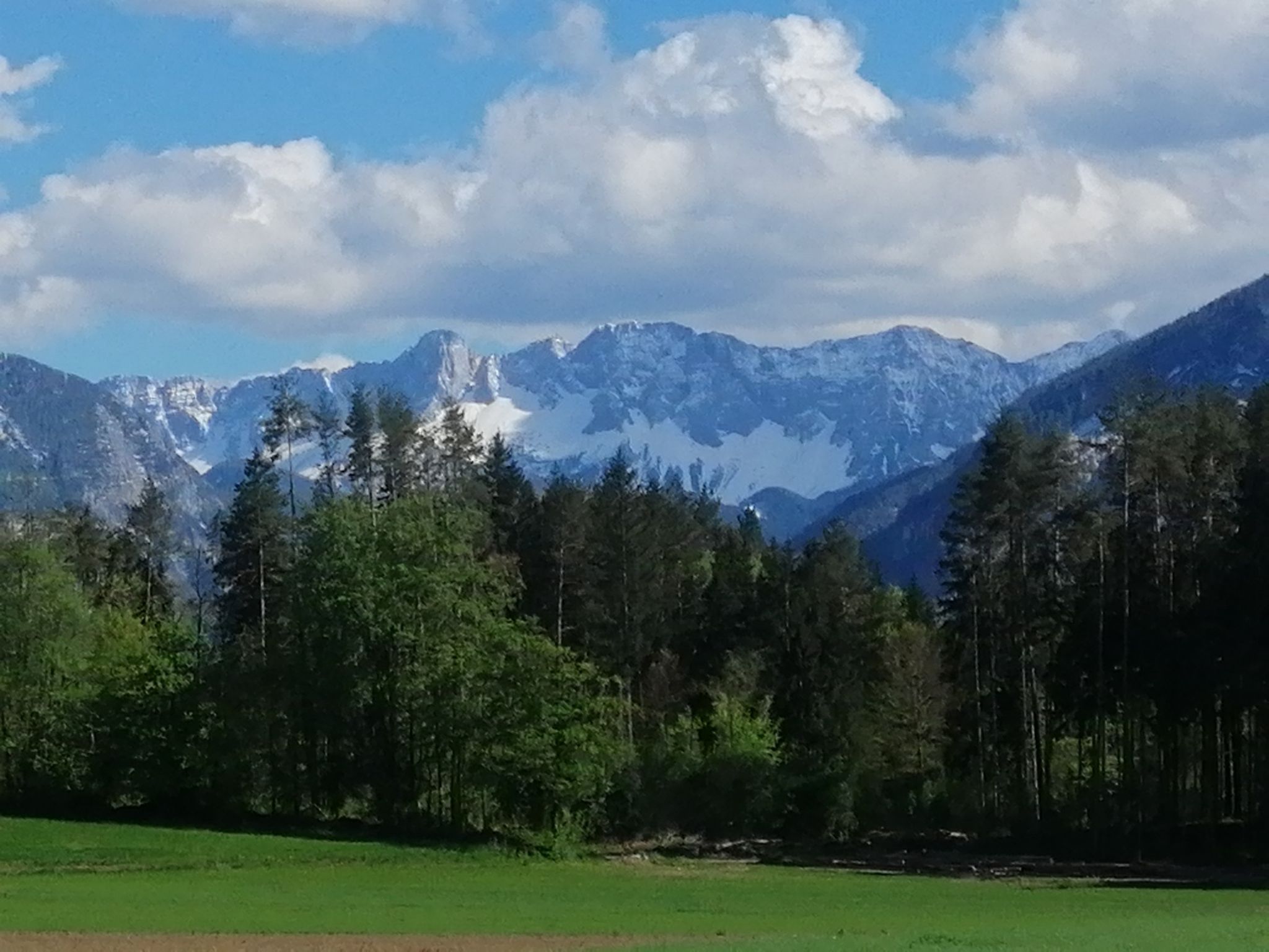 Koschuta