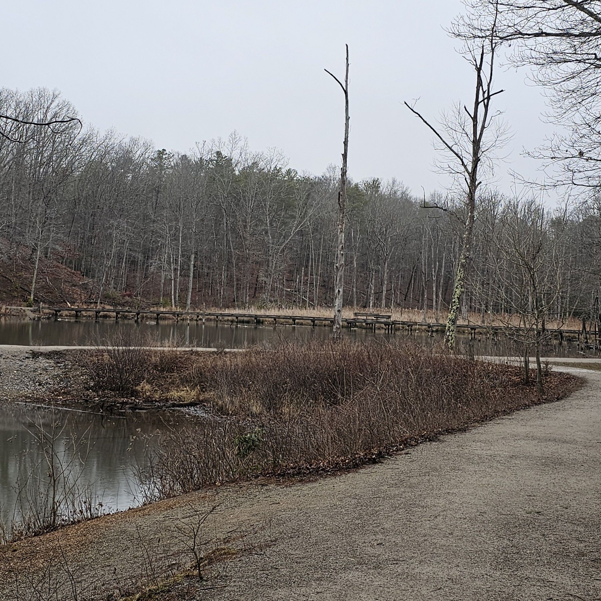 Overcast day, lake with a boardwalk and bare trees. - Stream View loop from Pandapas Pond Upper Lot Parking