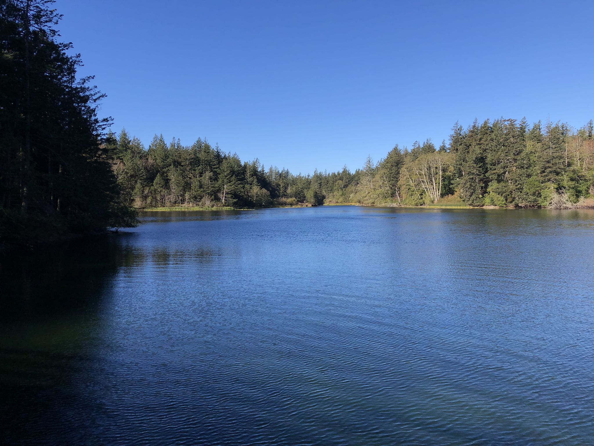 Calm lake reflecting a clear blue sky, flanked by dense forests. - Cascade Lake Loop Trail – Cascade Lake loop from Cascade Lake Dam
