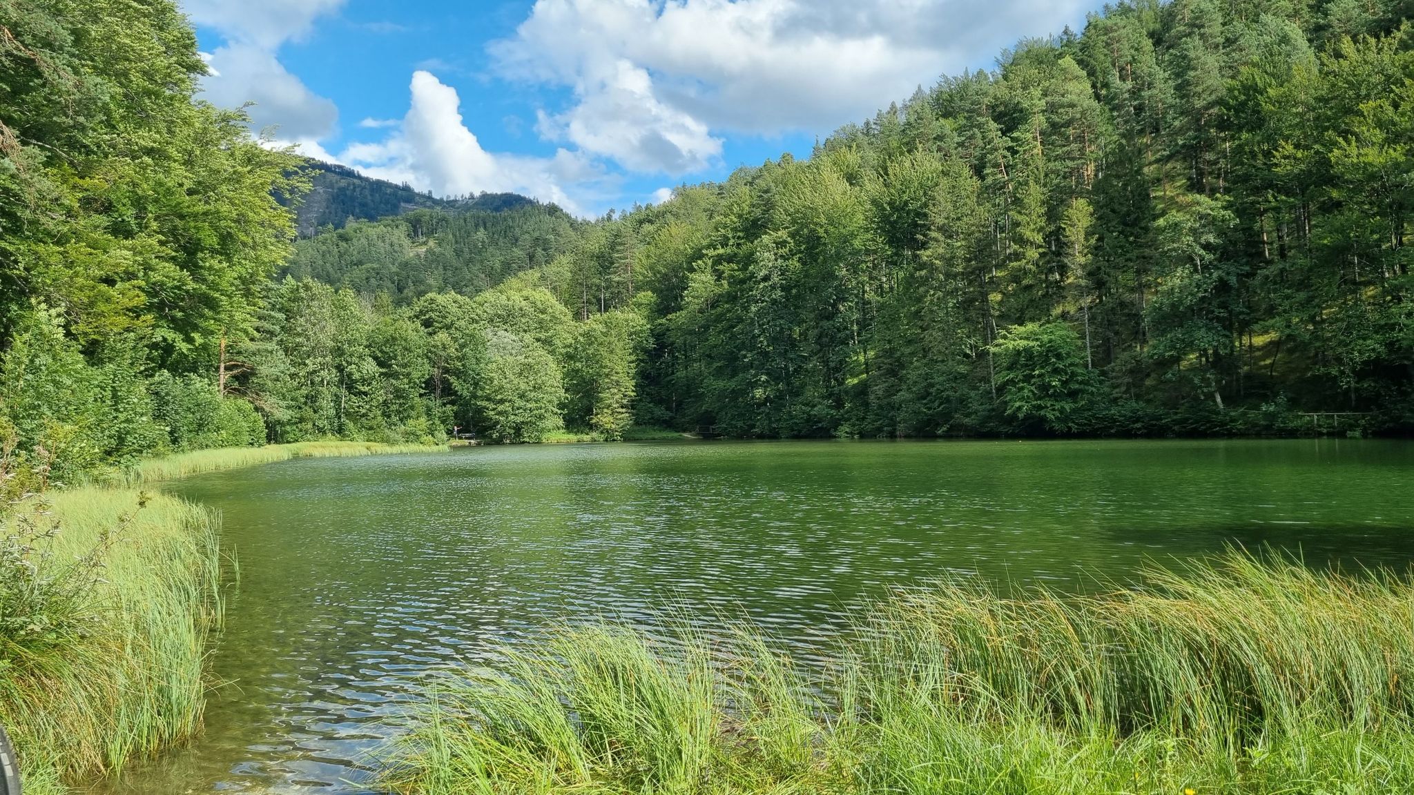 Hinterbergteich
