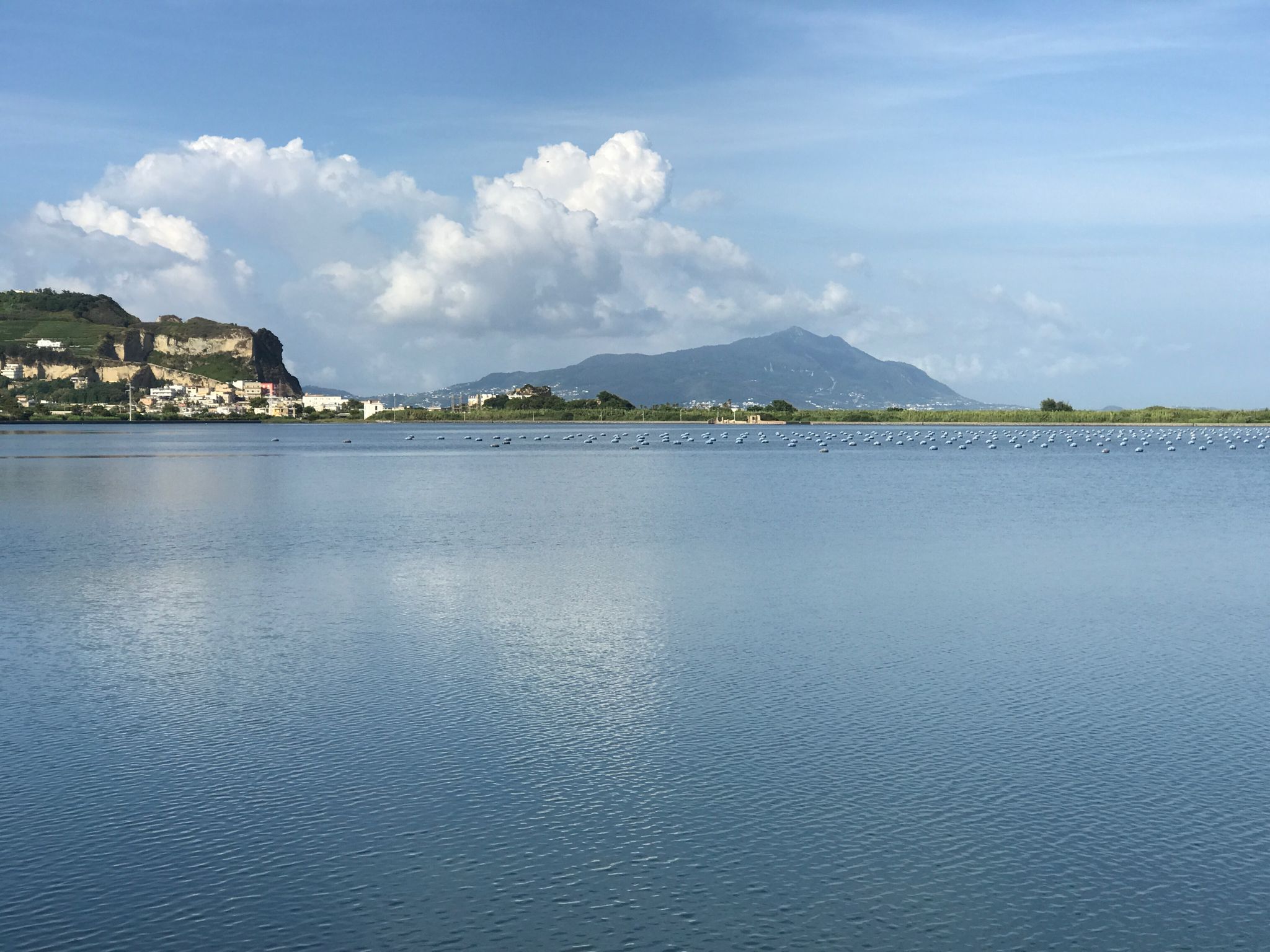 Ischia