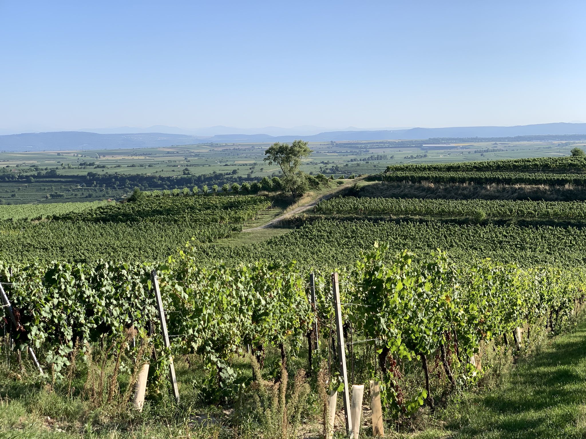 Wunderbare Weitsicht