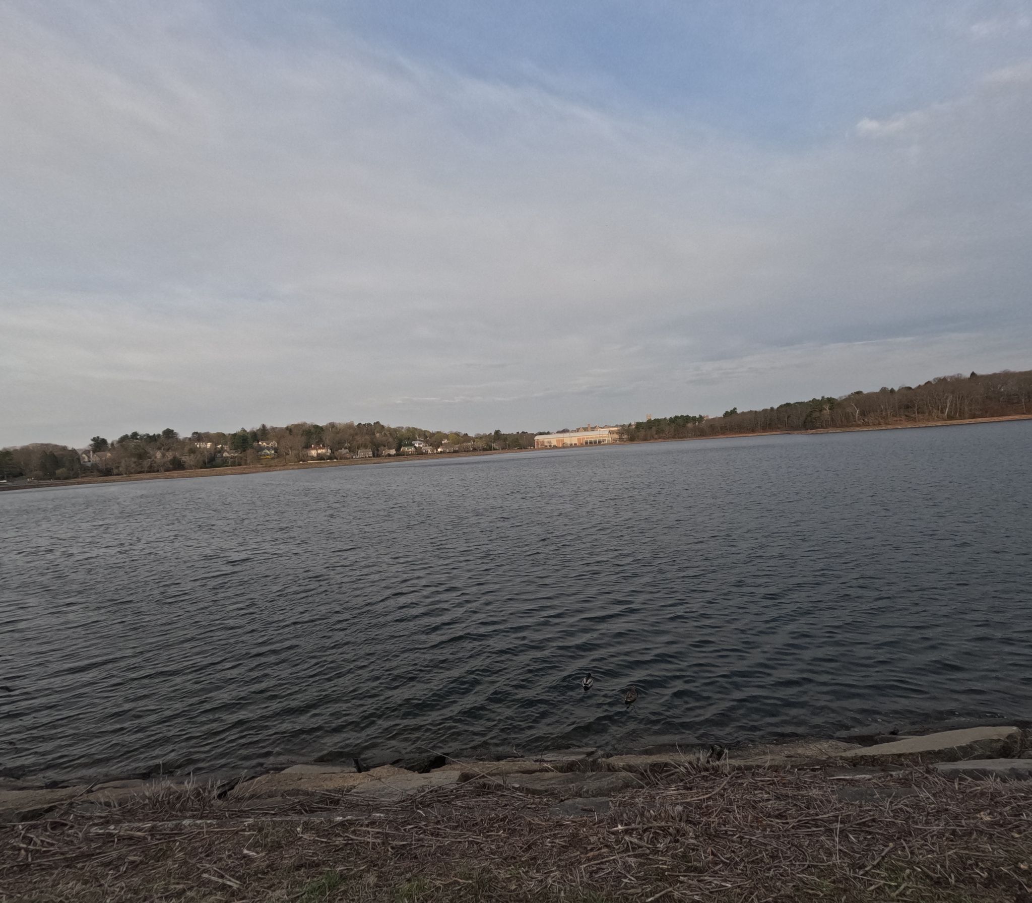 Wide shot of a calm body of water under an overcast sky. - Case's Corner & Chestnut Hill Reservoir loop