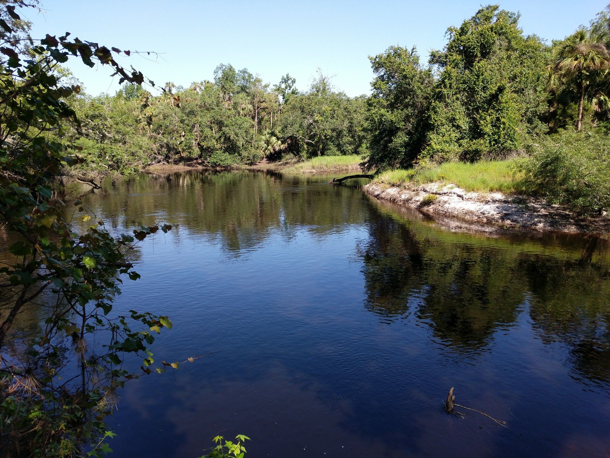 A wide, calm river flows through dense green foliage under a bright sky. - Flagler Trail and Outback Loop