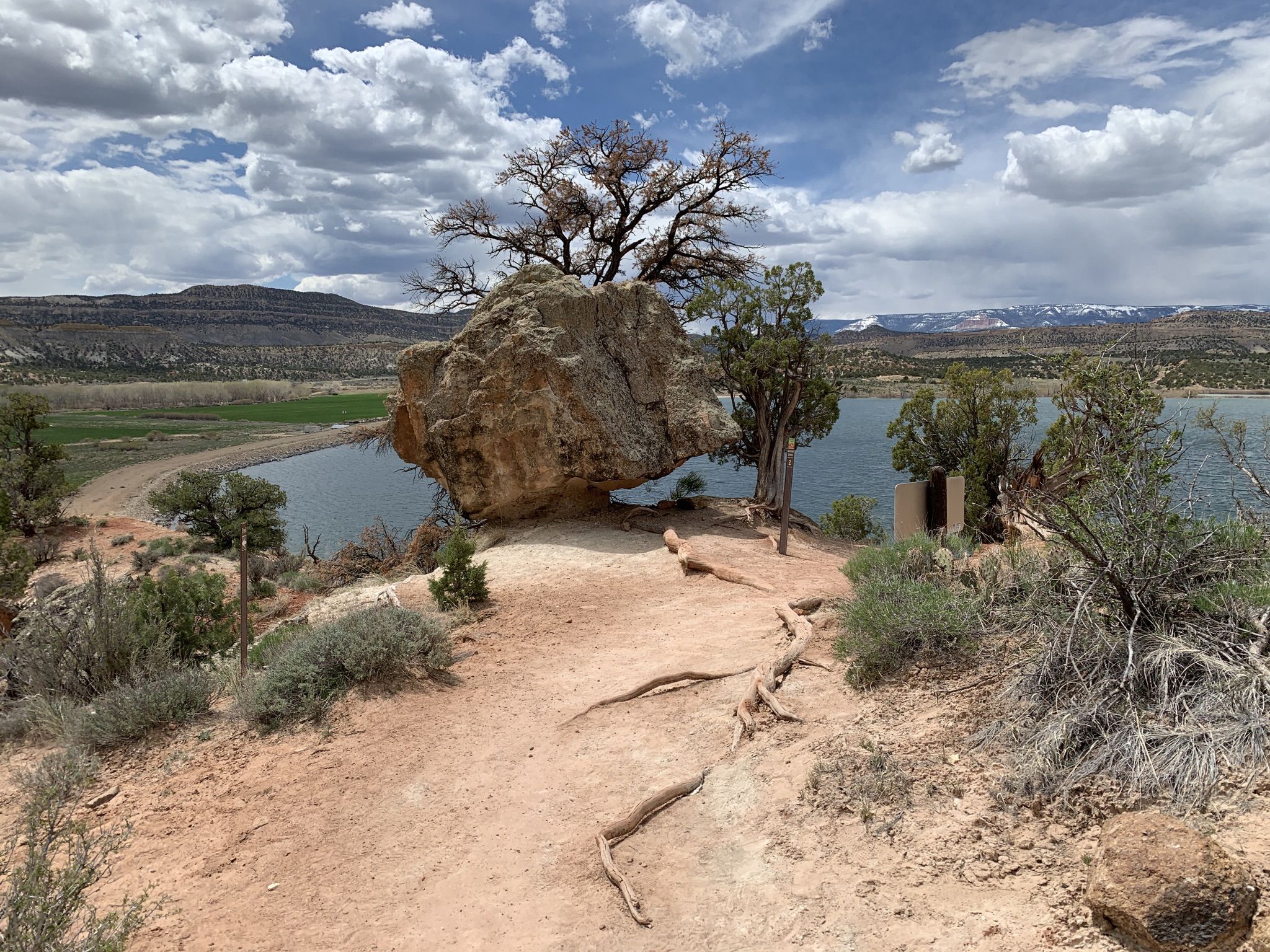 Large rock with a tree on top, overlooking a lake under cloudy sky. - Petrified Forest and Sleeping Rainbows Trail