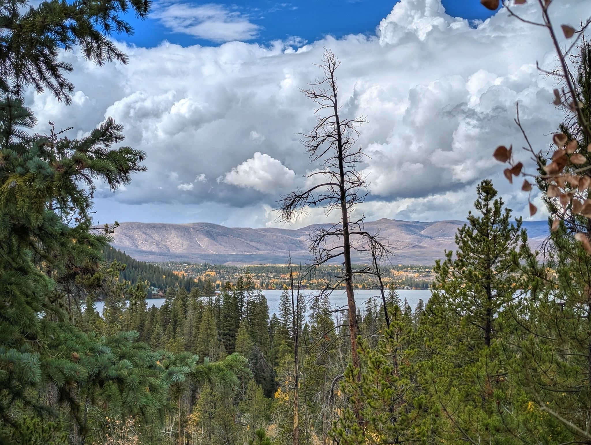 View of a lake and distant mountains through pine trees under cloudy sky. - East Inlet Trailhead – Adams Falls loop from Grand Lake
