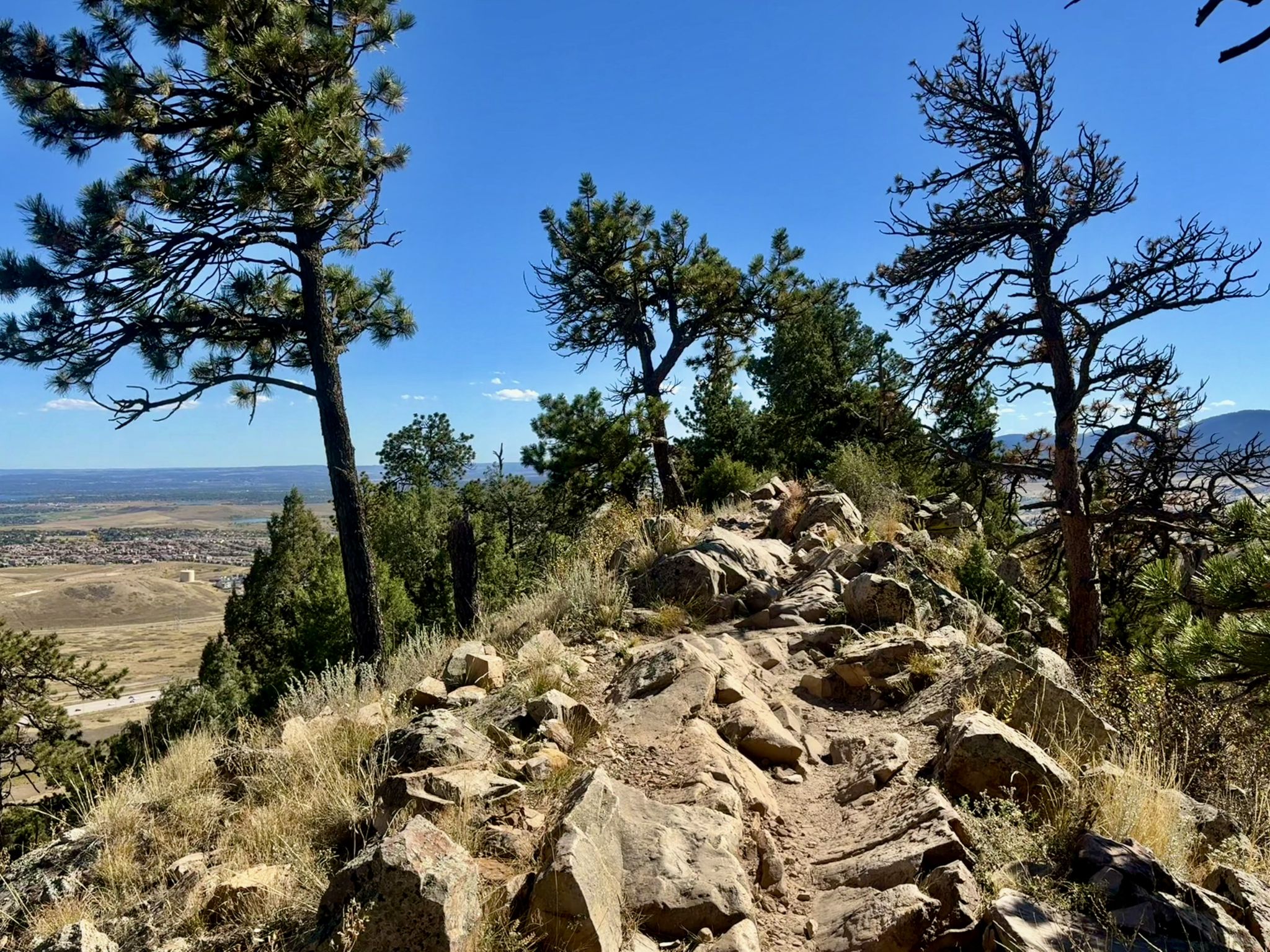 Rocky trail on a sunny ridge with pine trees and distant plains. - Red Rocks and Dakota Ridge Loop