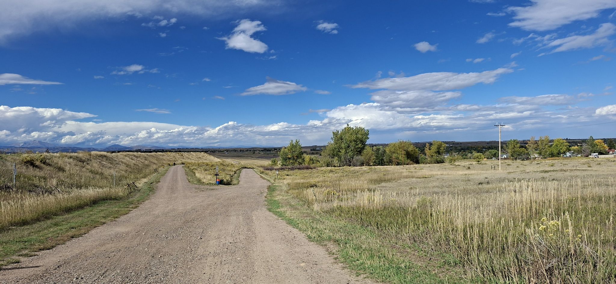A dirt road forks through a sunny, grassy field under a blue sky. - Denver Orbital Trail - Segment 25