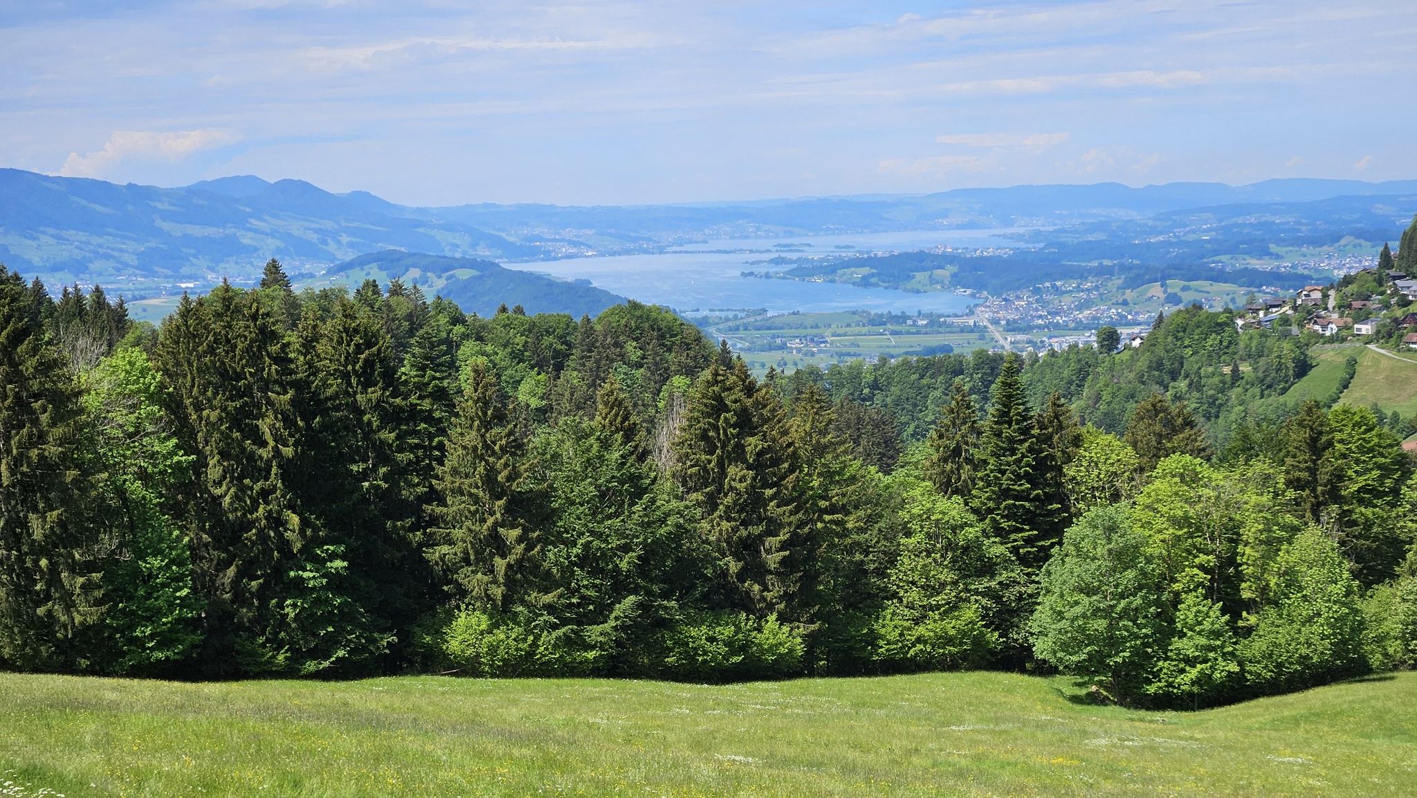 Bachmannsberg,...mit Blick zum Obersee.
