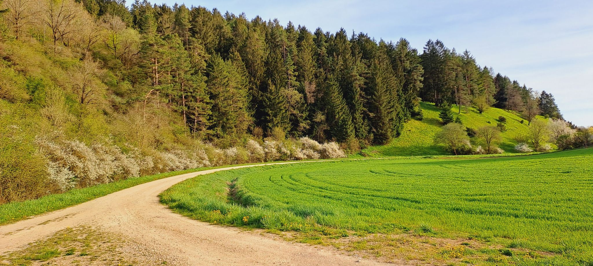 Einfahrt ins Pechtal