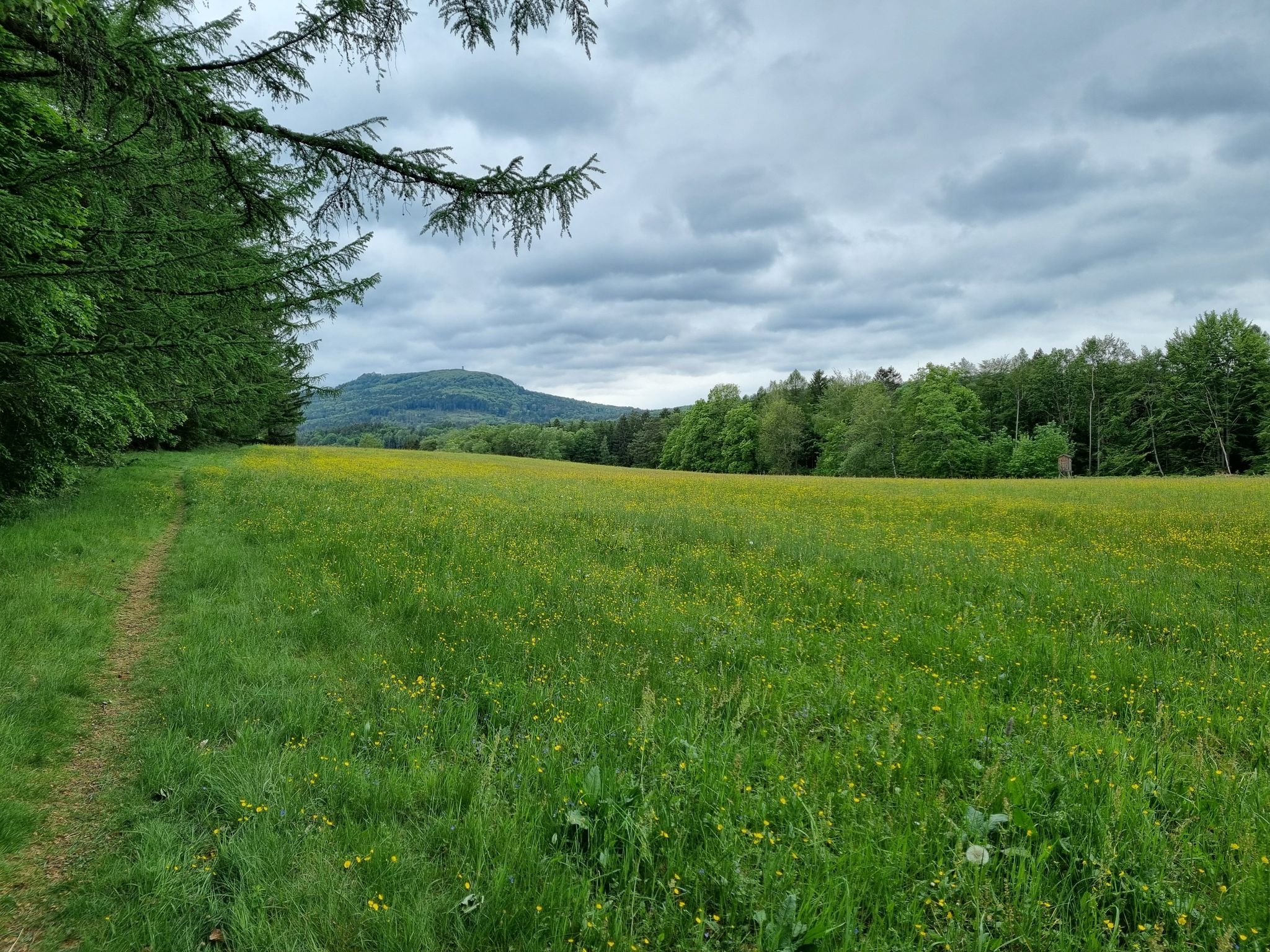 Hochwaldblick