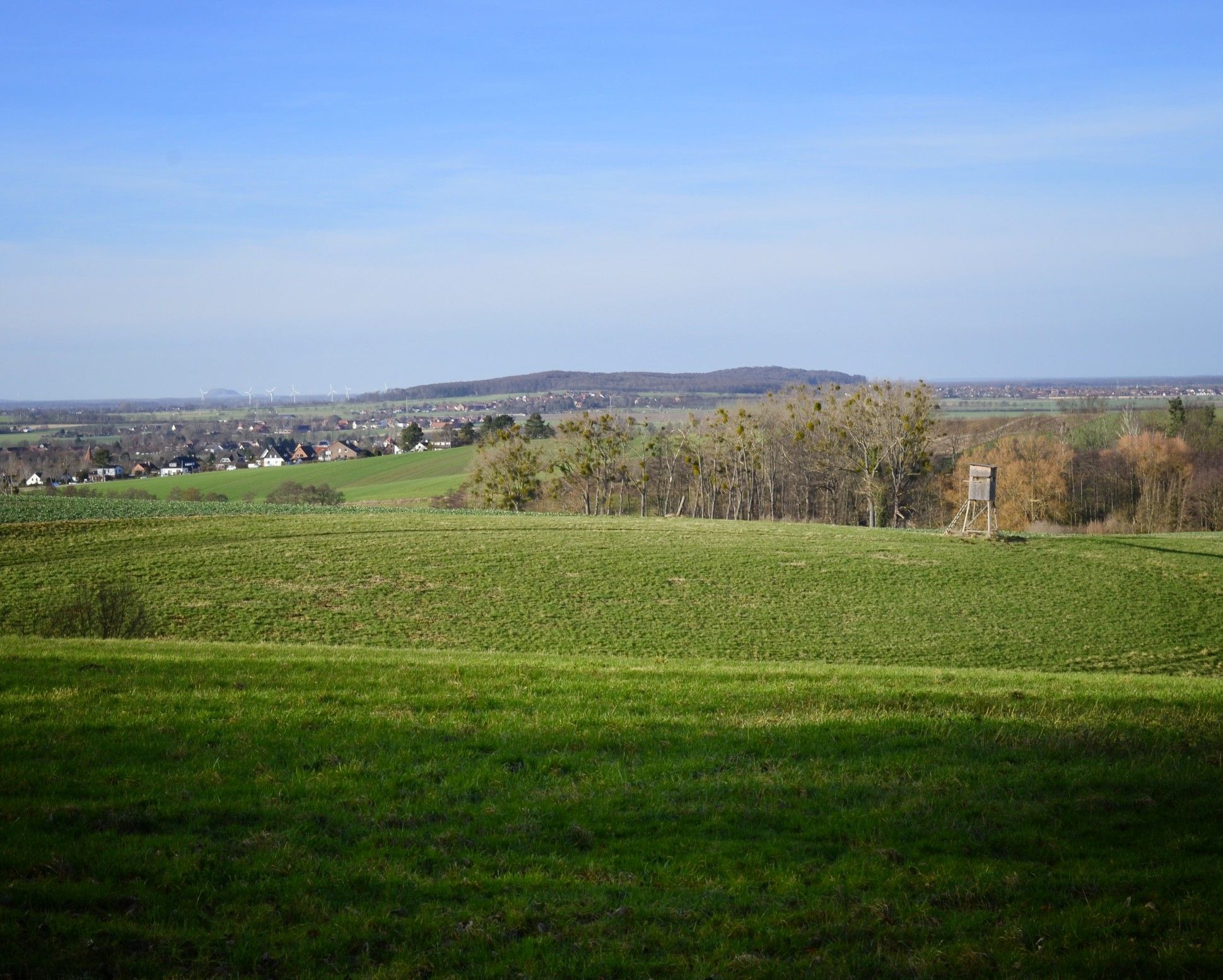 Blick zum Gehrdener Berg