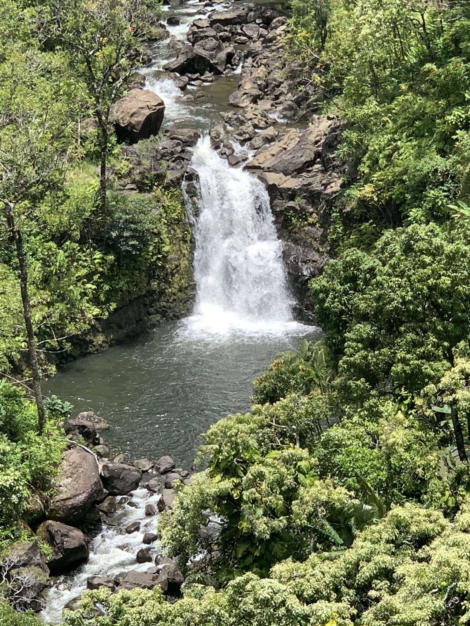 A powerful waterfall cascades into a rocky pool surrounded by lush green forest. - Garden of Eden Trails